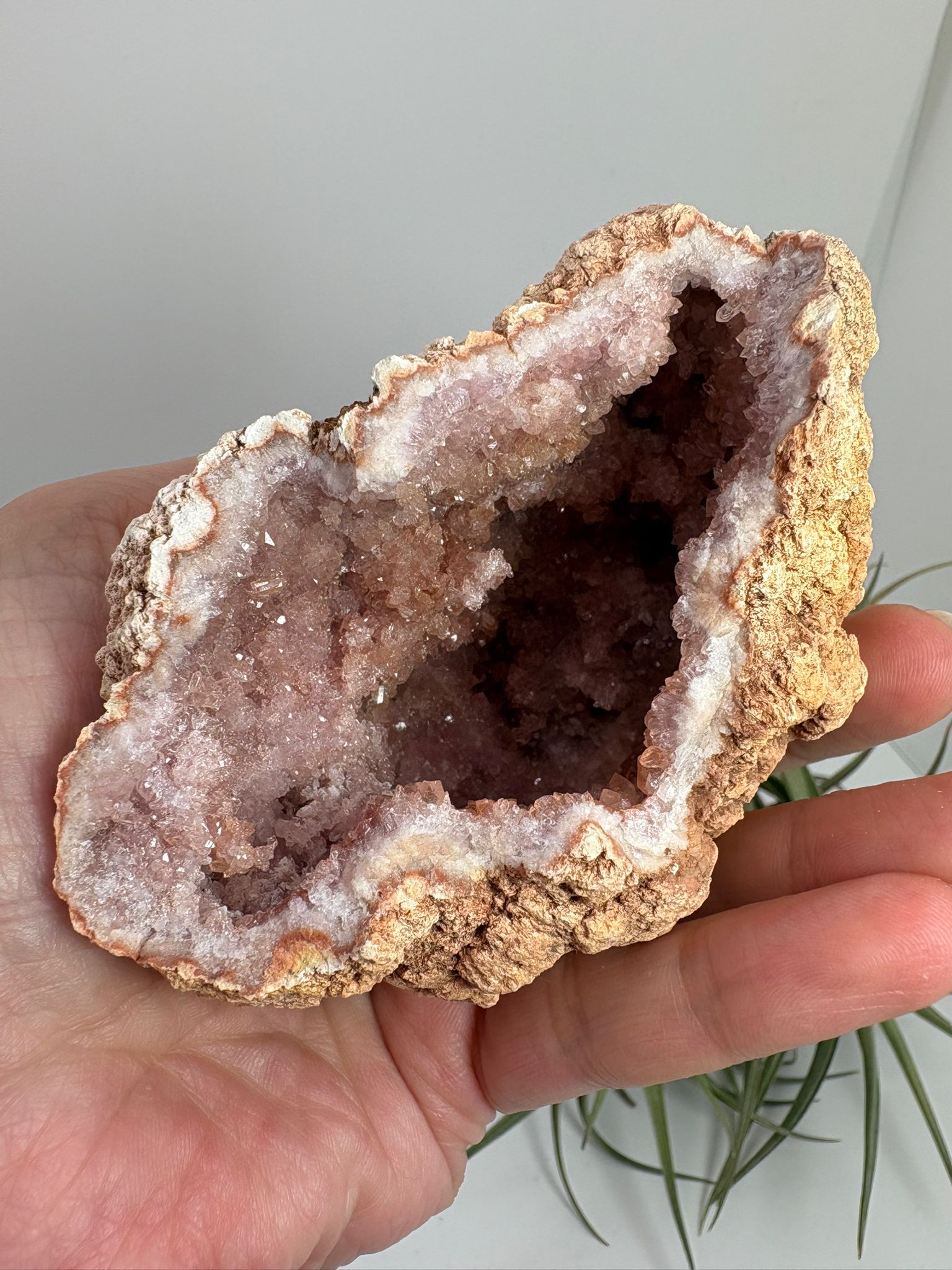 Geoda de amatista rosa de Argentina