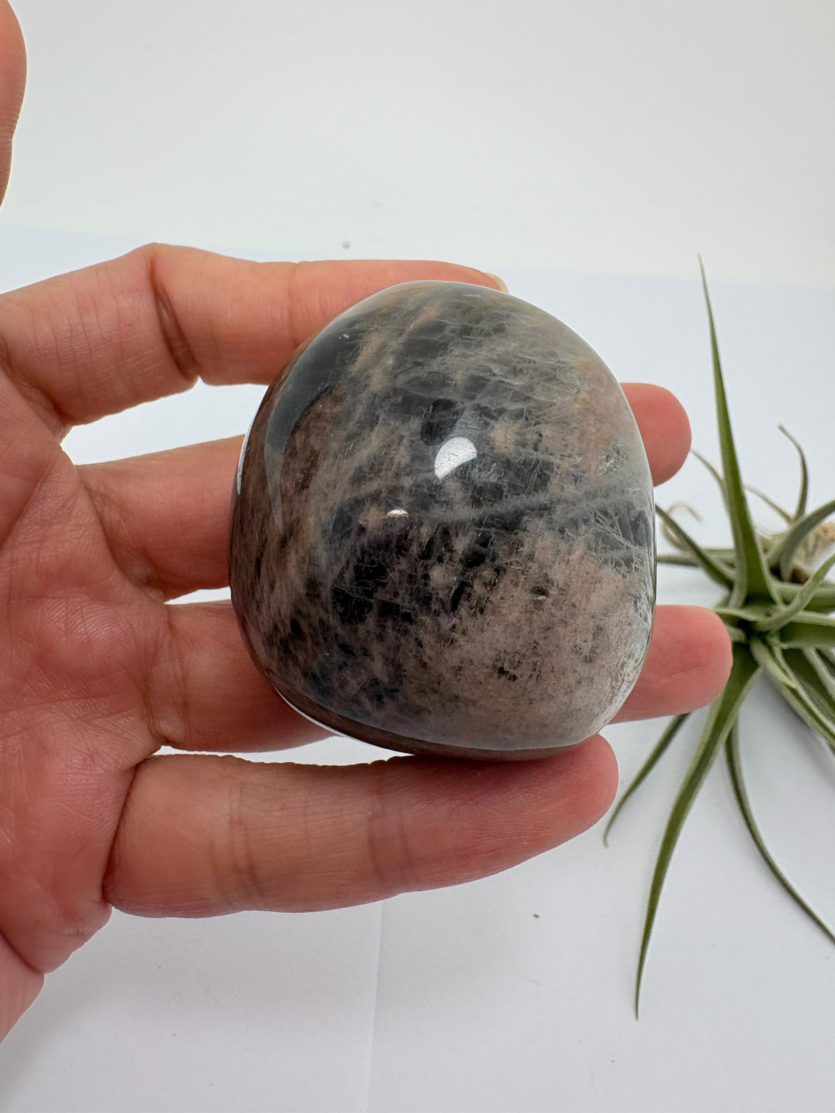 Palmstone de adularia negra de Madagascar - foto 4