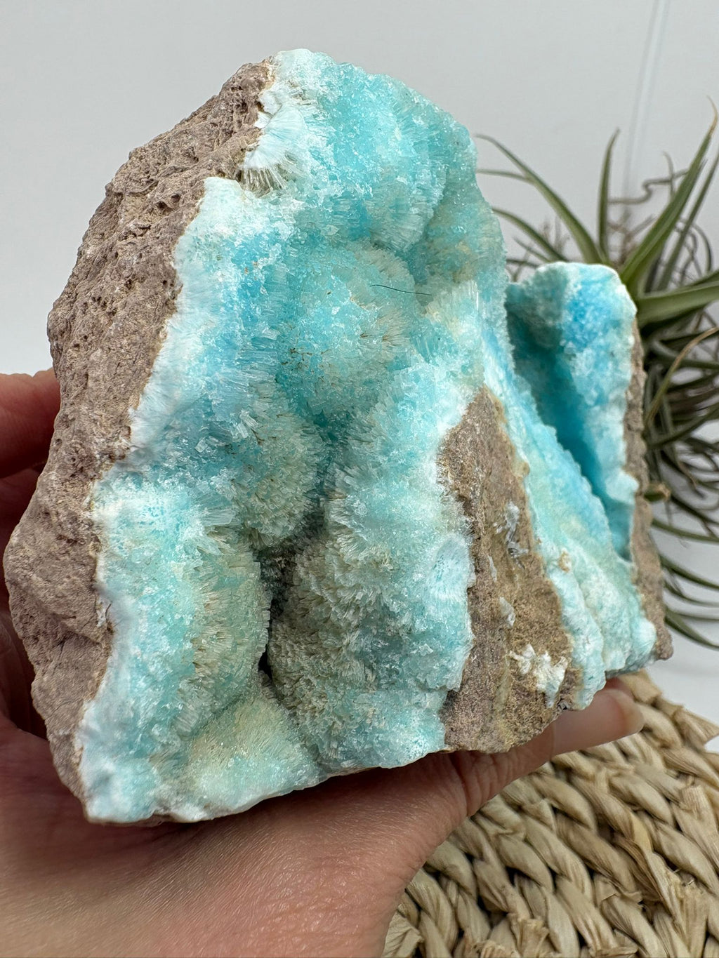Aragonito azul de Pakistan, mineral de colección