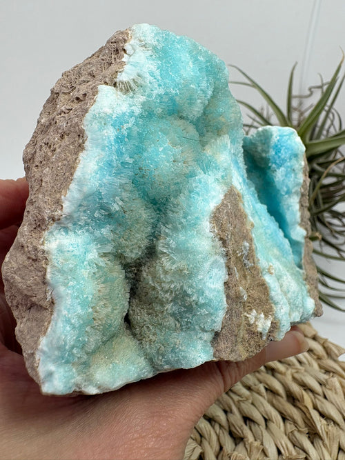 Aragonito azul de Pakistan, mineral de colección