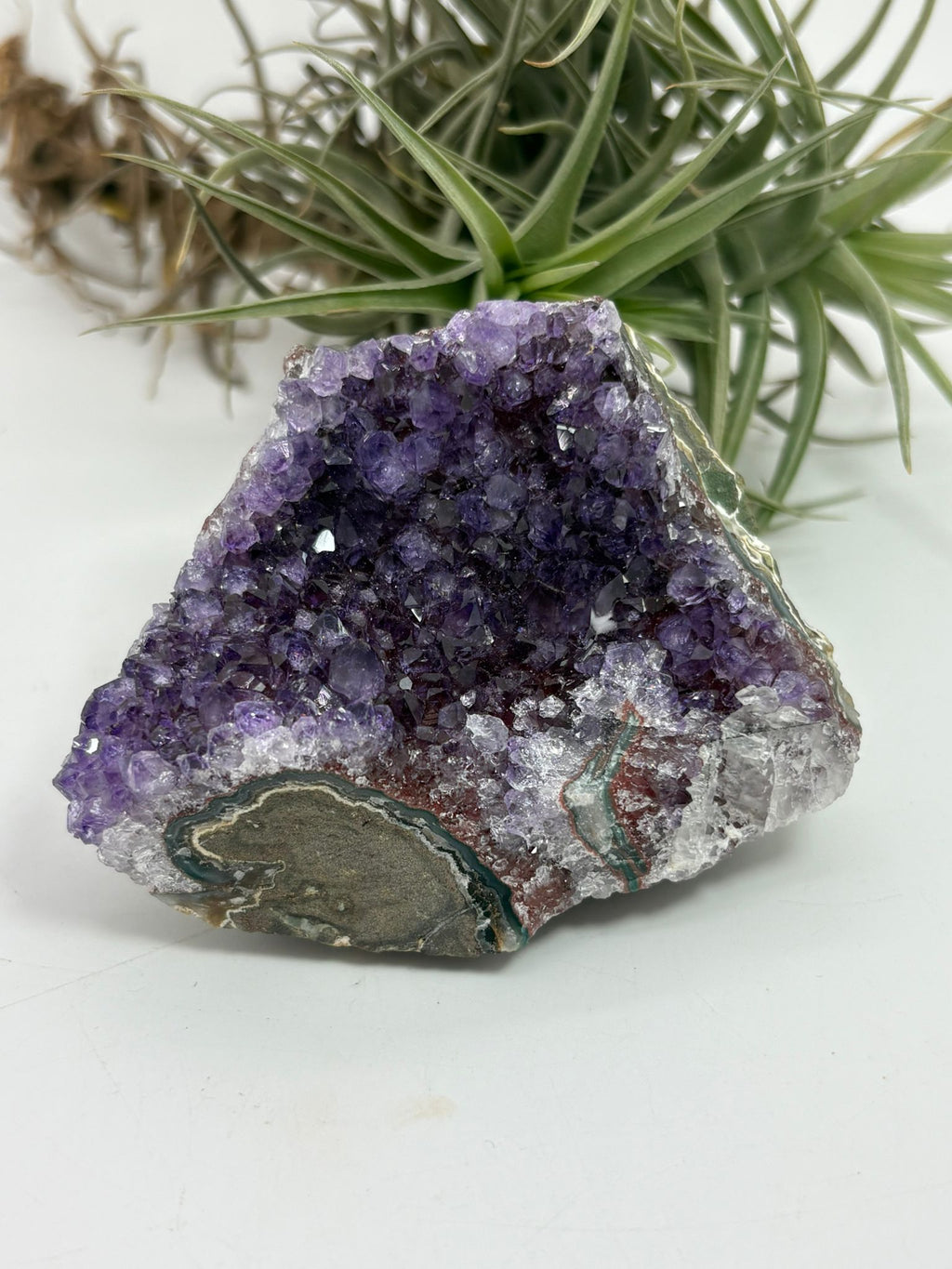 Drusa de amatista natural - cristales violetas brillantes
