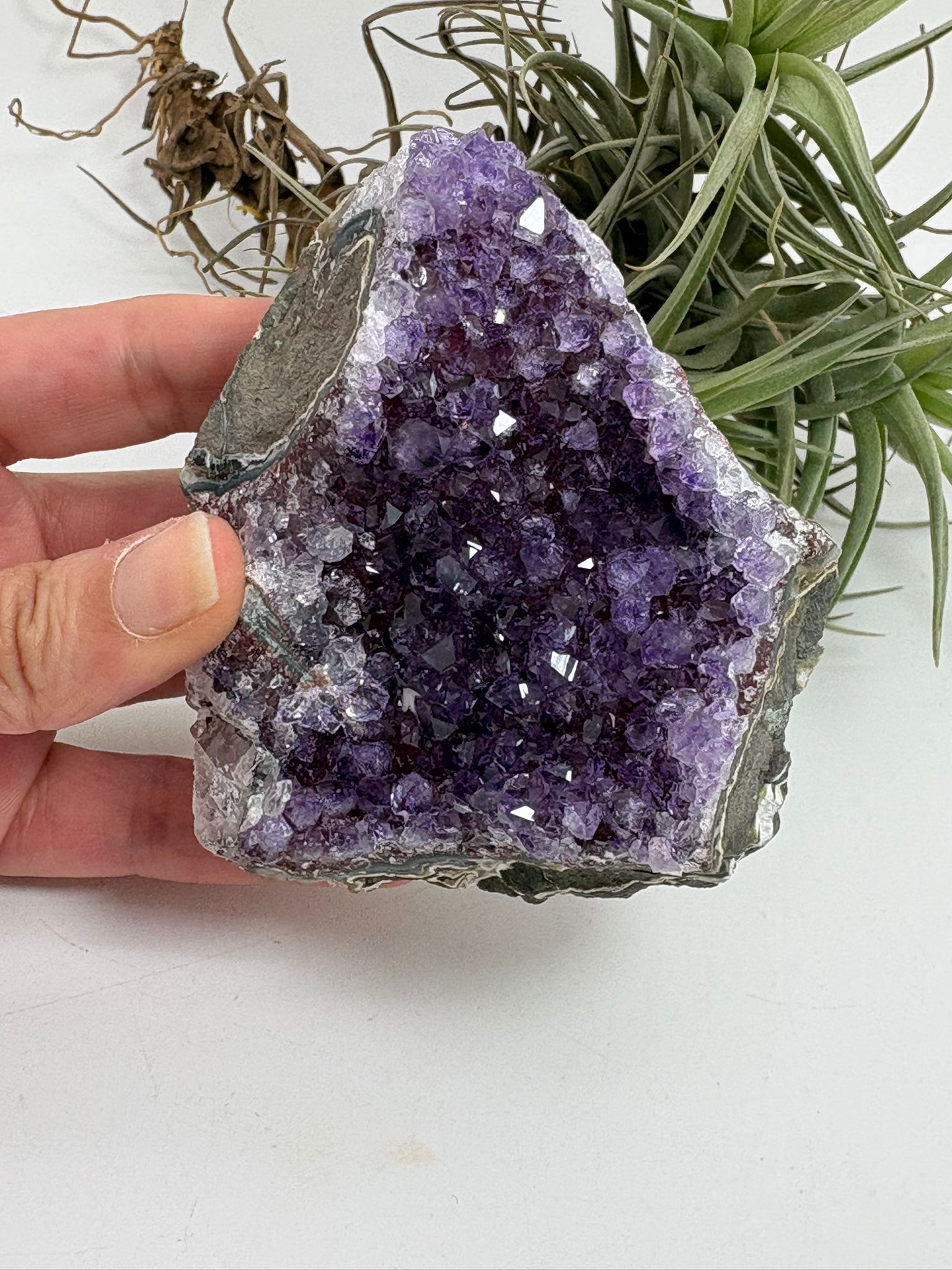 Drusa de amatista natural - cristales violetas brillantes