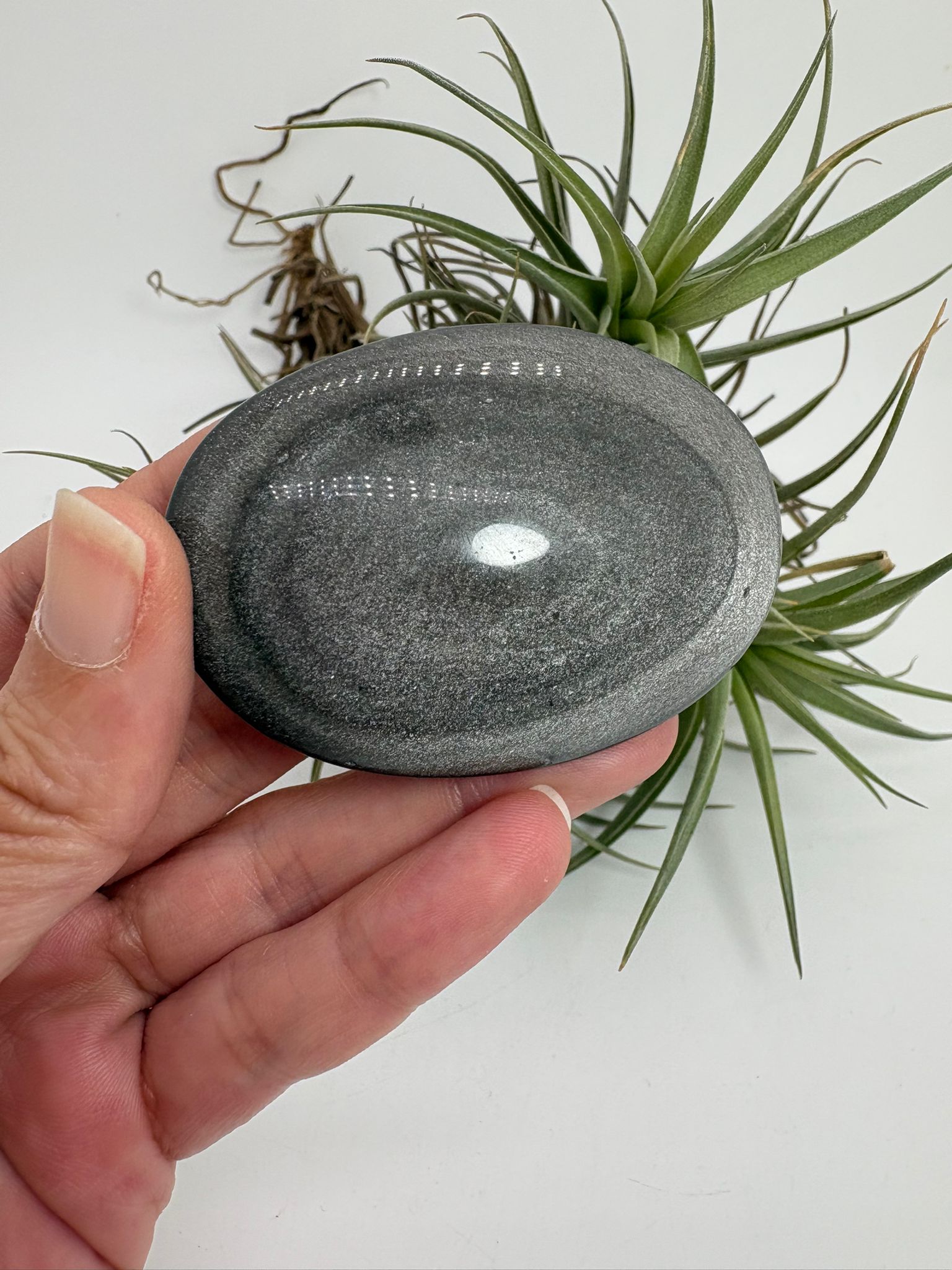 Palmstone obsidiana plateada