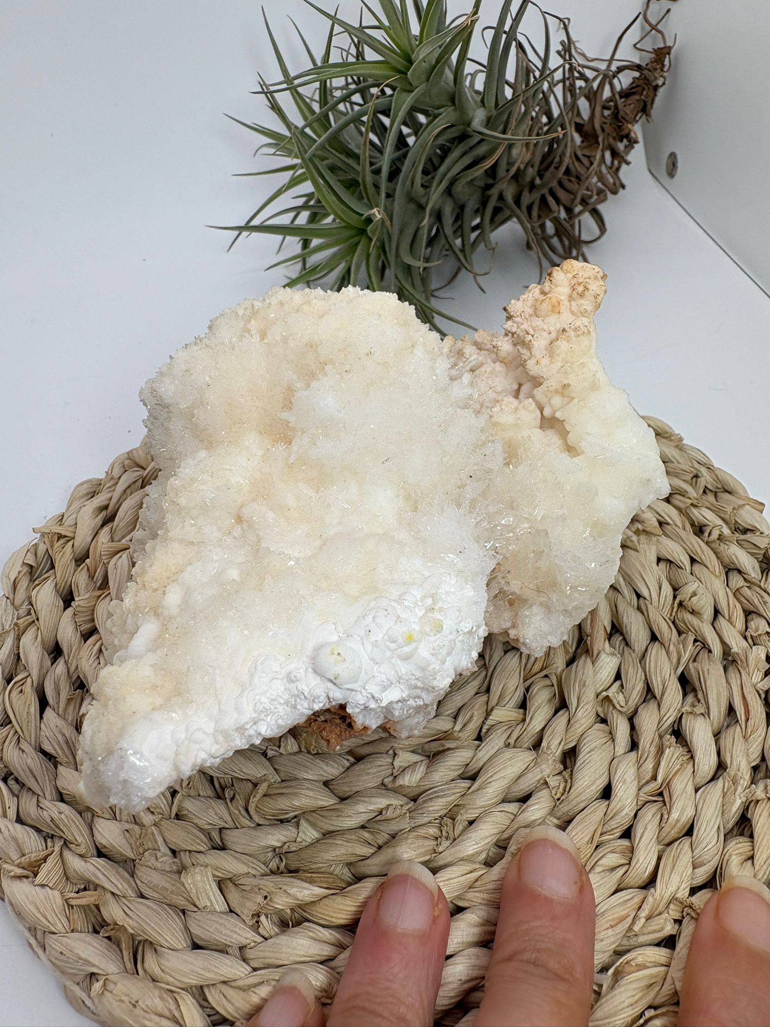 Aragonito coraloide natural para colección