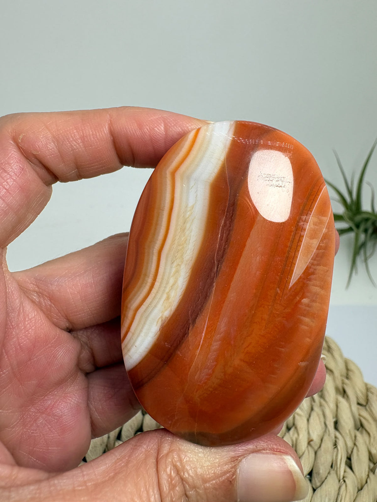 Palmstone de ágata cornalina pulida
