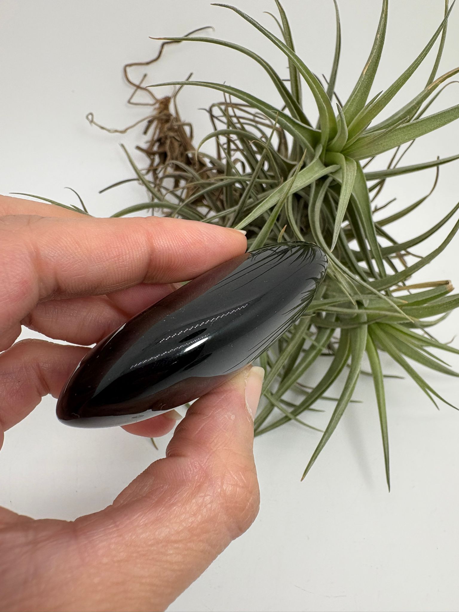 Palmstone obsidiana plateada