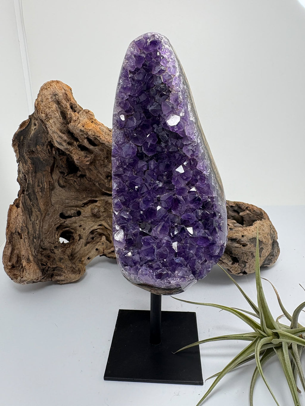 Preciosas drusas de amatista en tonos lila claro, con cristales que brillan al recibir la luz. Su contorno pulido y sus formas redondeadas enmarcan la zona de cristalización natural, haciendo que cada pieza sea diferente.

