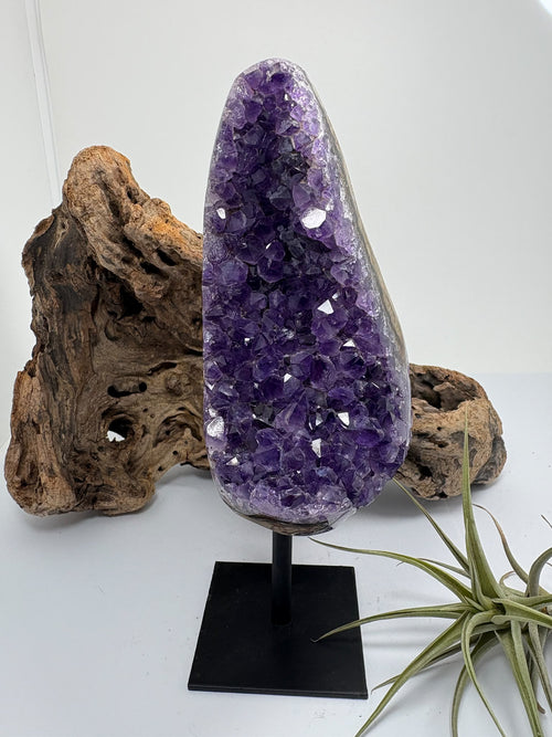 Preciosas drusas de amatista en tonos lila claro, con cristales que brillan al recibir la luz. Su contorno pulido y sus formas redondeadas enmarcan la zona de cristalización natural, haciendo que cada pieza sea diferente.

