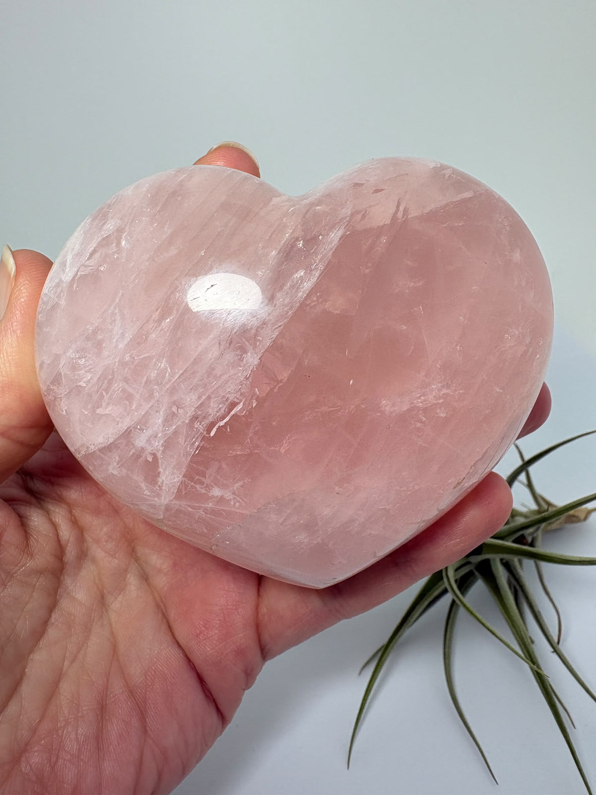 Corazón de cuarzo rosa natural de Madagascar, grande y pulido. Una pieza única de suaves tonos rosados, símbolo de amor propio y armonía.