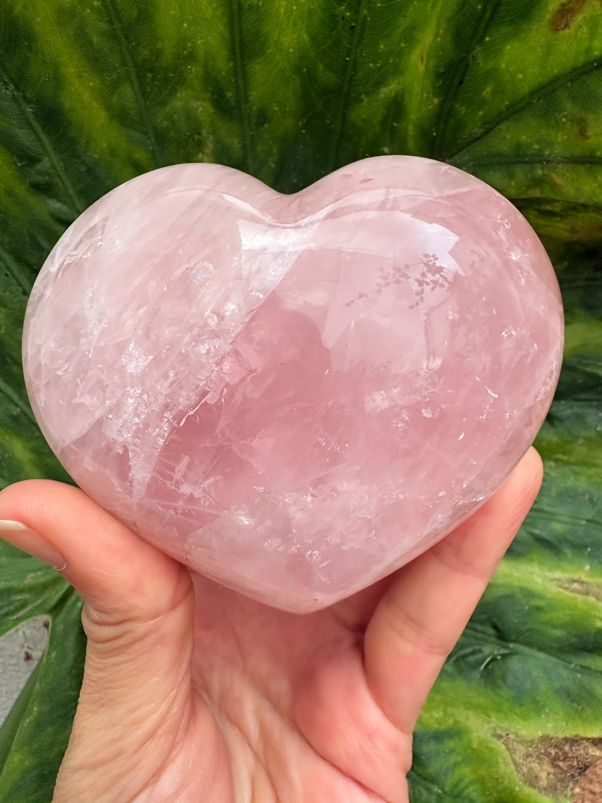 Corazón de cuarzo rosa natural de Madagascar, grande y pulido. Una pieza única de suaves tonos rosados, símbolo de amor propio y armonía.