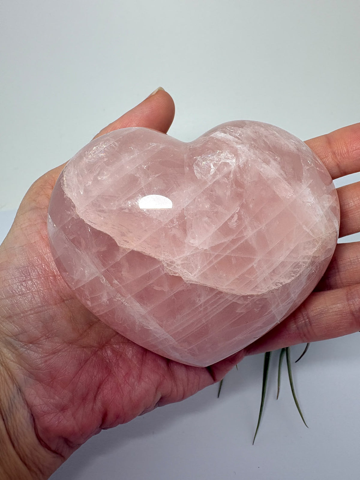 Corazón de cuarzo rosa natural de Madagascar, grande y pulido. Una pieza única de suaves tonos rosados, símbolo de amor propio y armonía.