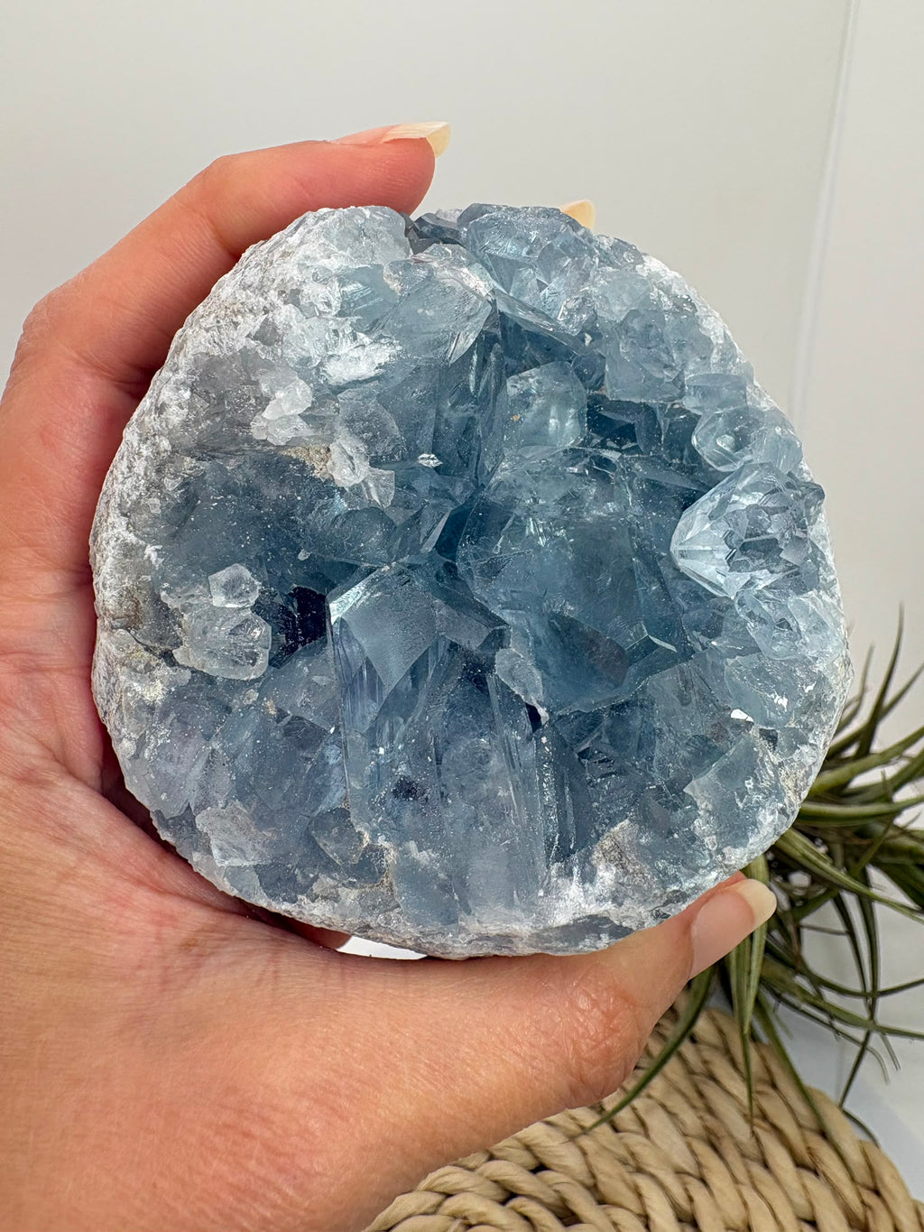 Celestina natural de Madagascar en drusa, de color azul celeste y cristales brillantes. Pieza única de 535 g para colección y decoración.
