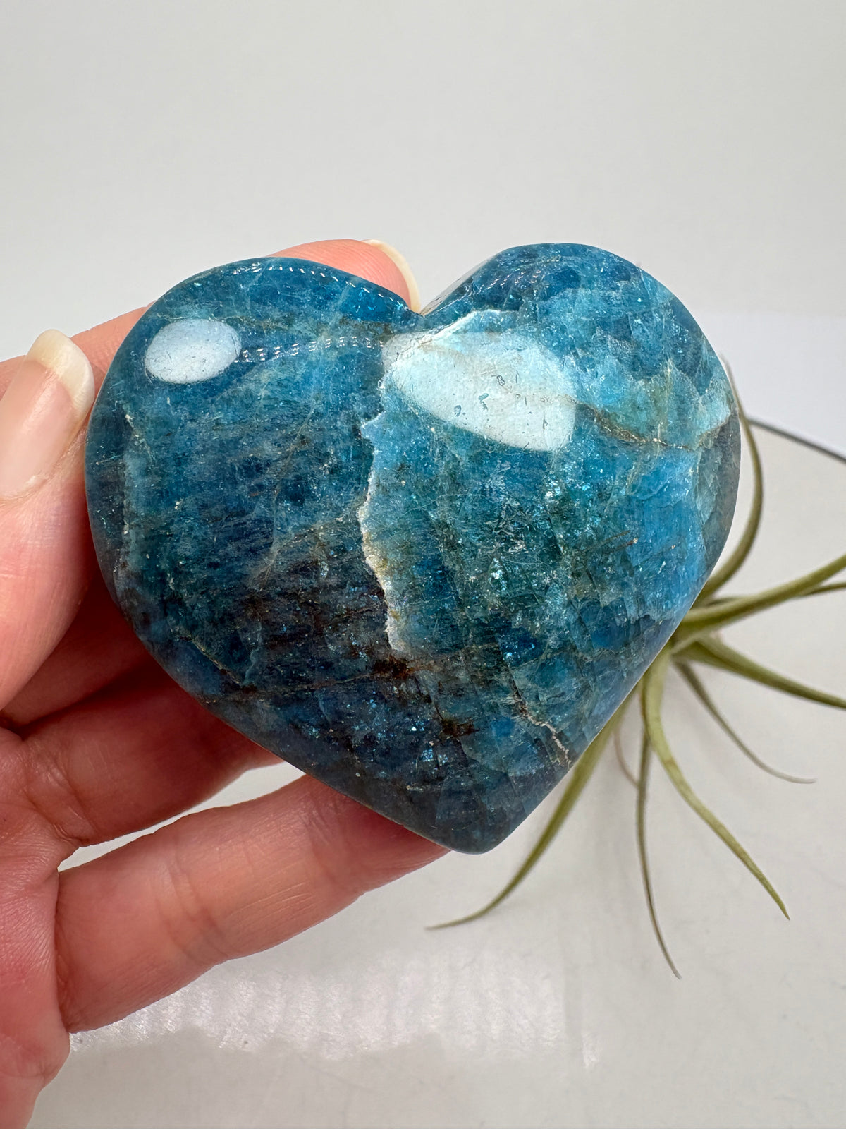 &nbsp;Corazón de apatito azul pulido de gran belleza, con tonos intensos y vetas naturales que hacen cada pieza única.

Ideal para aportar color y energía a cualquier espacio o llevar contigo.