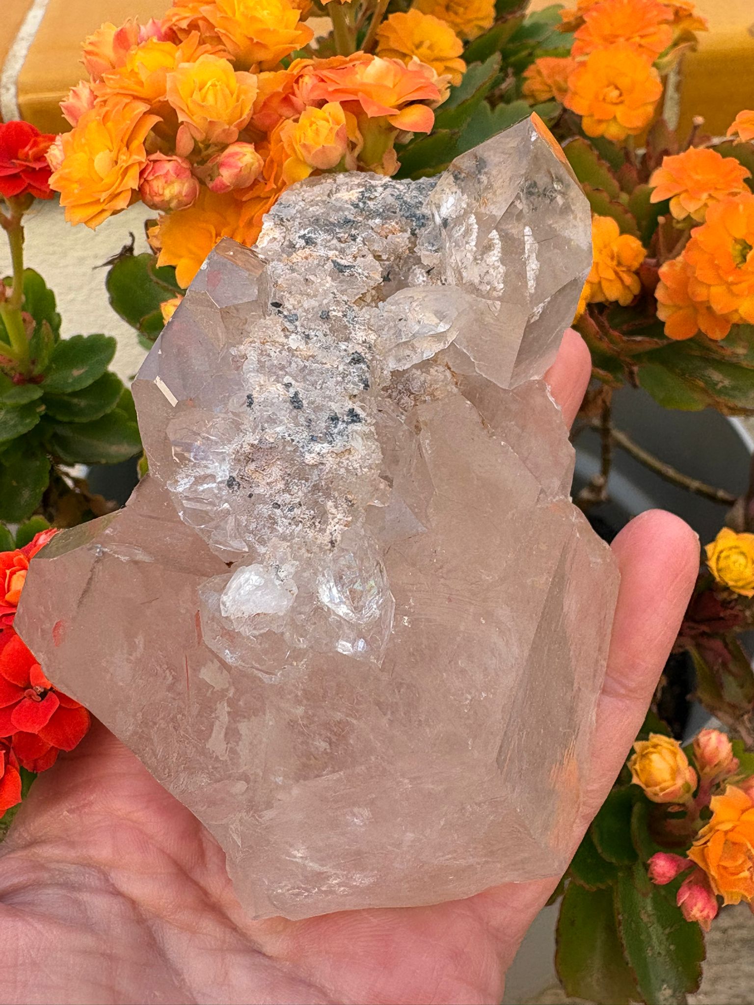 Cuarzo chamánico con inclusiones tipo jardín en su interior. Pieza única con energía profunda, ideal para conexión espiritual y meditación.