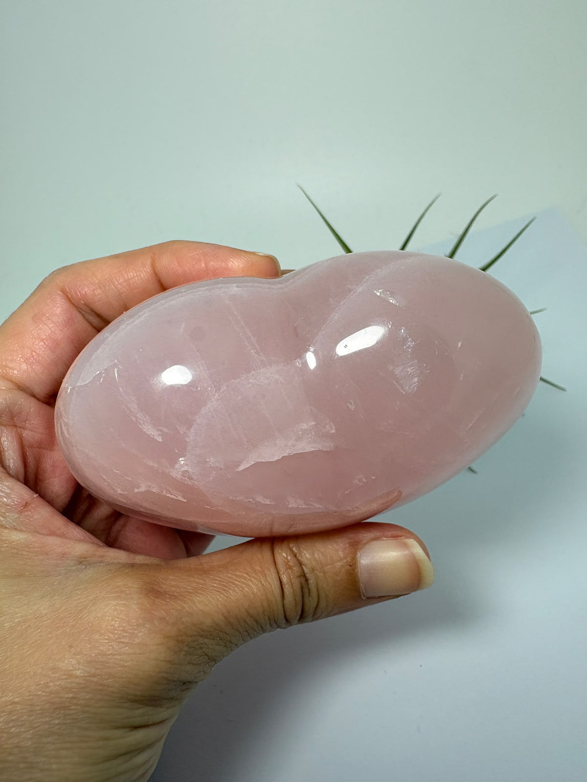 Corazón de cuarzo rosa natural de Madagascar, grande y pulido. Una pieza única de suaves tonos rosados, símbolo de amor propio y armonía.