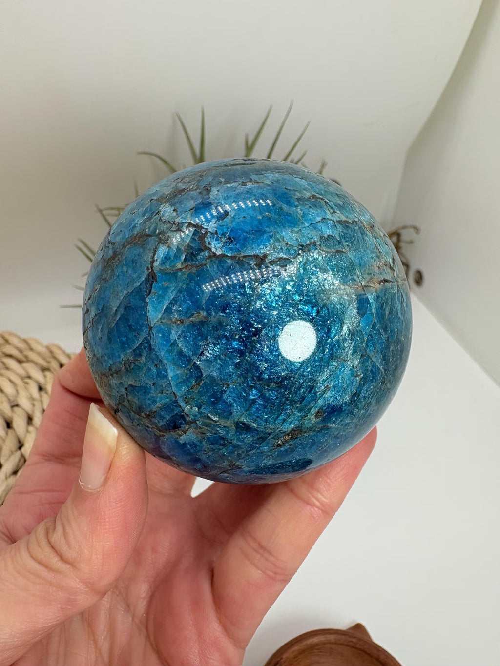 Esfera de apatito azul natural, de gran calidad y color. Ideal para colección y terapias de meditación sanación. color azul intenso con brillos.