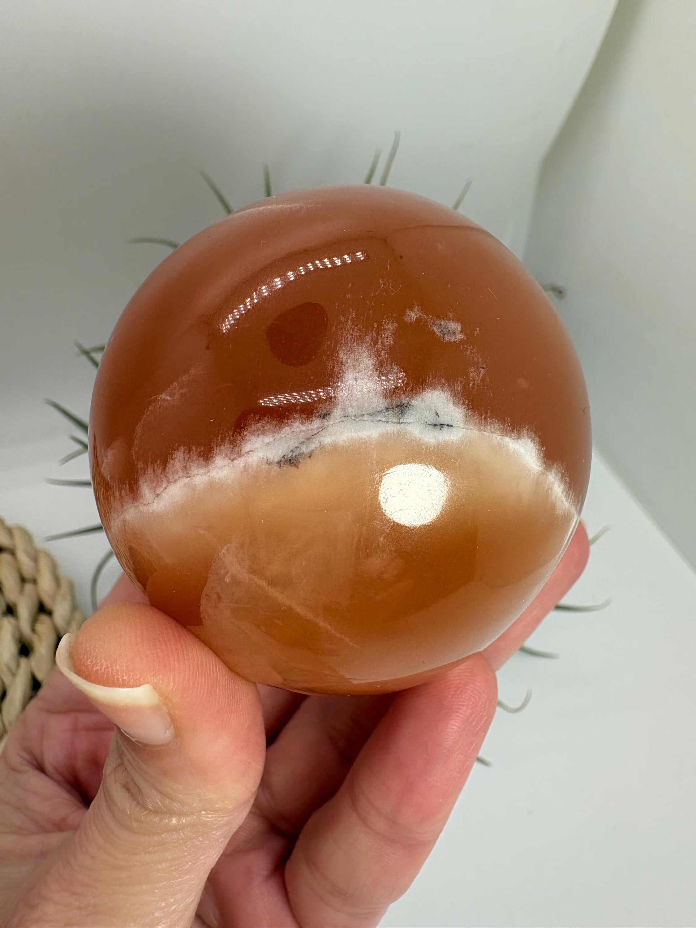 Hermosa esfera de calcita miel natural pulida, con tonos dorados y cálidos característicos de este mineral. Cada pieza presenta vetas y matices únicos formados de manera natural durante millones de años.

La calcita miel es una piedra muy apreciada en el mundo de los minerales por su energía revitalizante y su capacidad para aportar confianza, claridad mental y motivación.