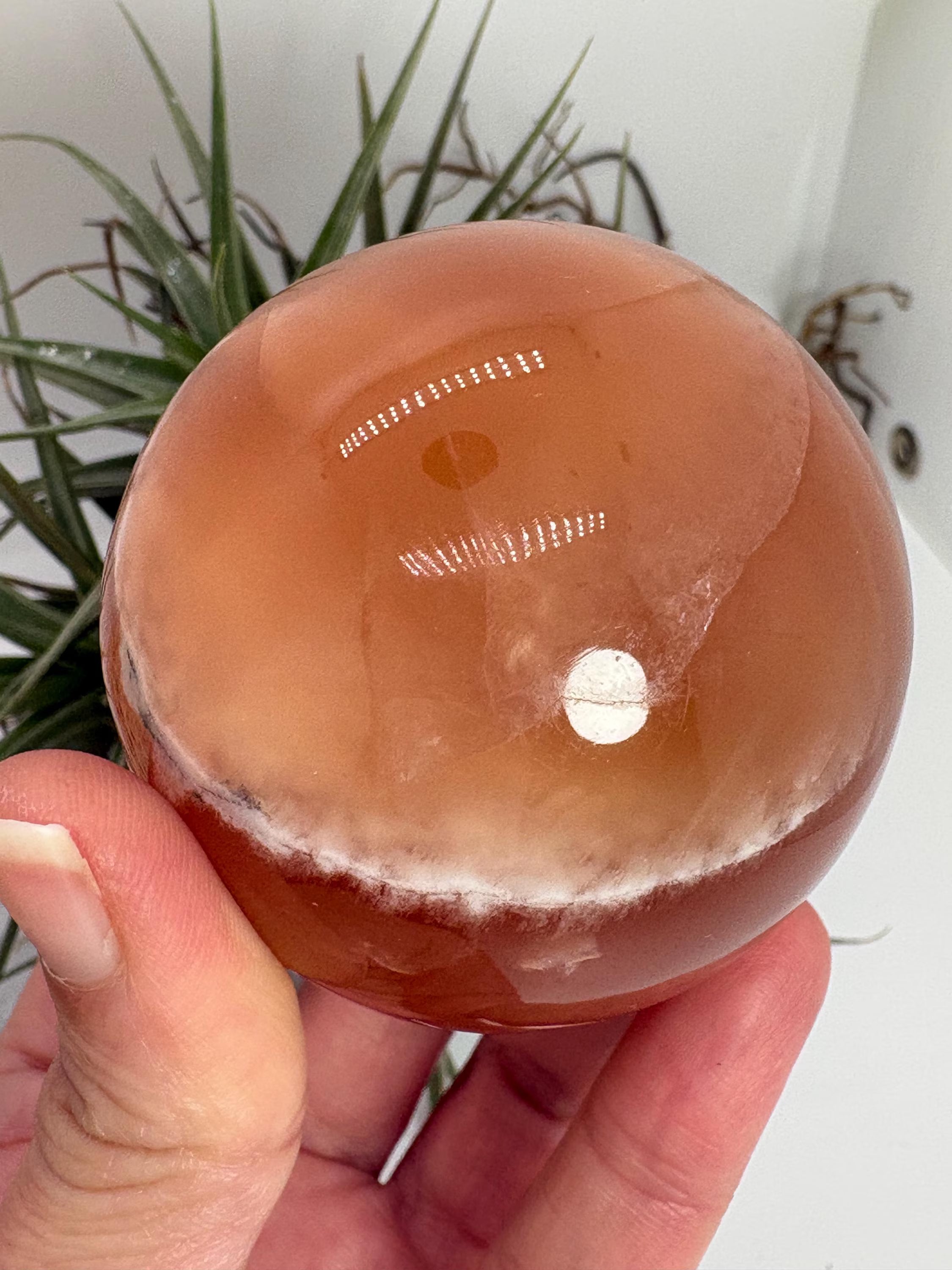 Hermosa esfera de calcita miel natural pulida, con tonos dorados y cálidos característicos de este mineral. Cada pieza presenta vetas y matices únicos formados de manera natural durante millones de años.

La calcita miel es una piedra muy apreciada en el mundo de los minerales por su energía revitalizante y su capacidad para aportar confianza, claridad mental y motivación.