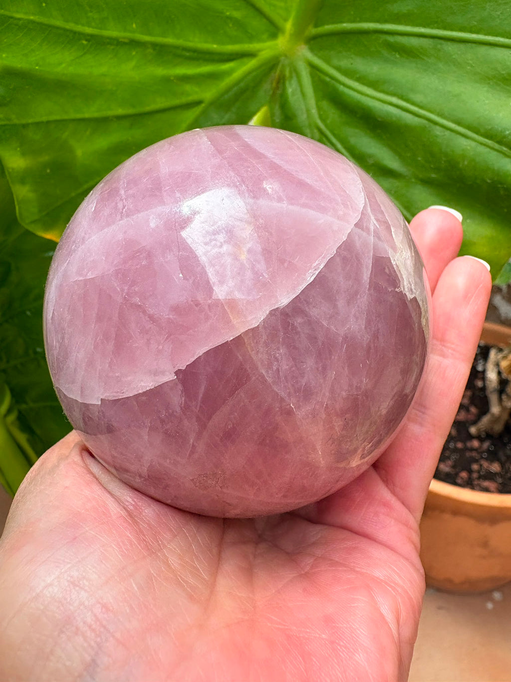 Esfera de cuarzo rosa natural de excelente calidad y precioso color, con 7 cm de diámetro. Una pieza única, ideal para decoración, meditación, coleccionismo o como regalo especial. Descúbrela en La Hada de las Piedras.