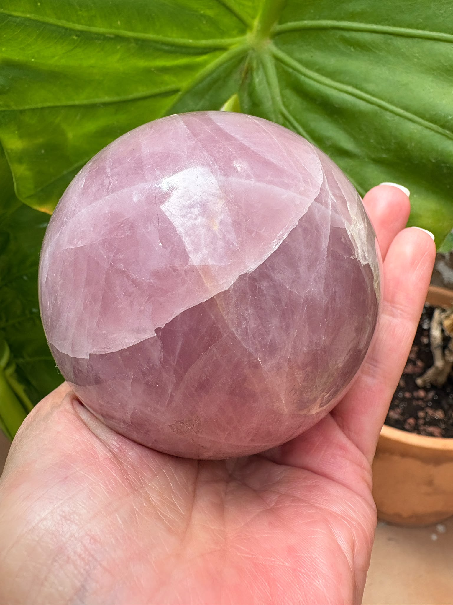 Esfera de cuarzo rosa natural de excelente calidad y precioso color, con 7 cm de diámetro. Una pieza única, ideal para decoración, meditación, coleccionismo o como regalo especial. Descúbrela en La Hada de las Piedras.