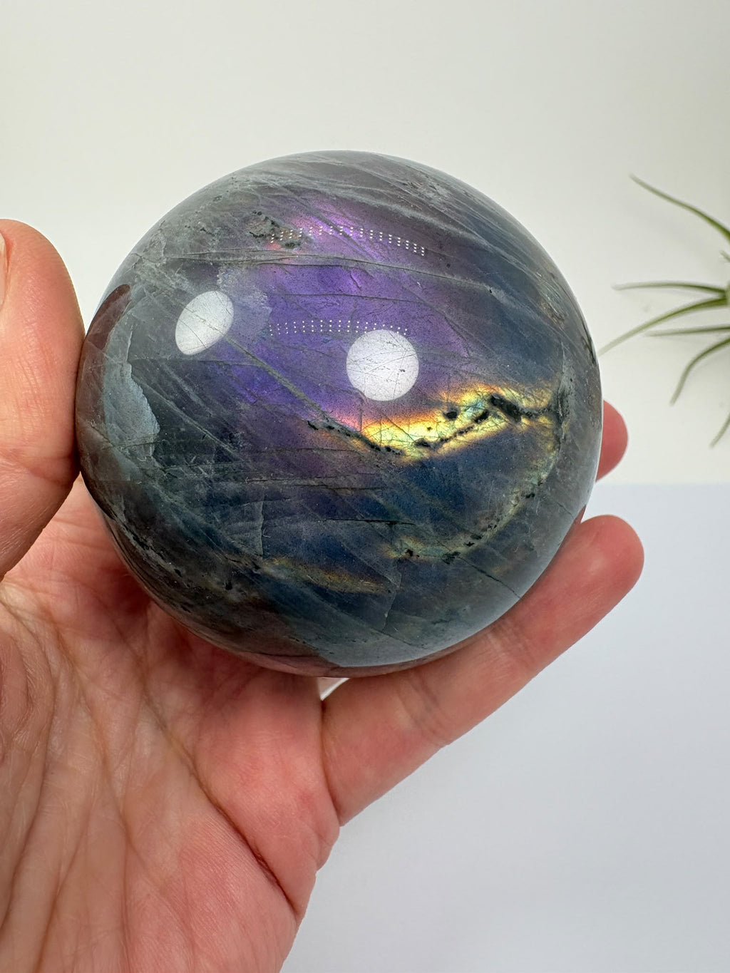 Descubre esta esfera de labradorita pulida con reflejos lilas, violetas y dorados. Recibe la pieza fotografiada. Base no incluida.