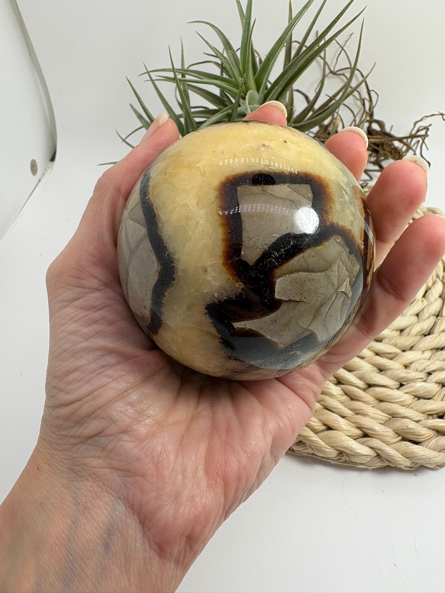 Esfera de septaria natural con vetas únicas. Pieza que aporta estabilidad, conexión con la tierra y equilibrio interior. Ideal para decoración y colección.