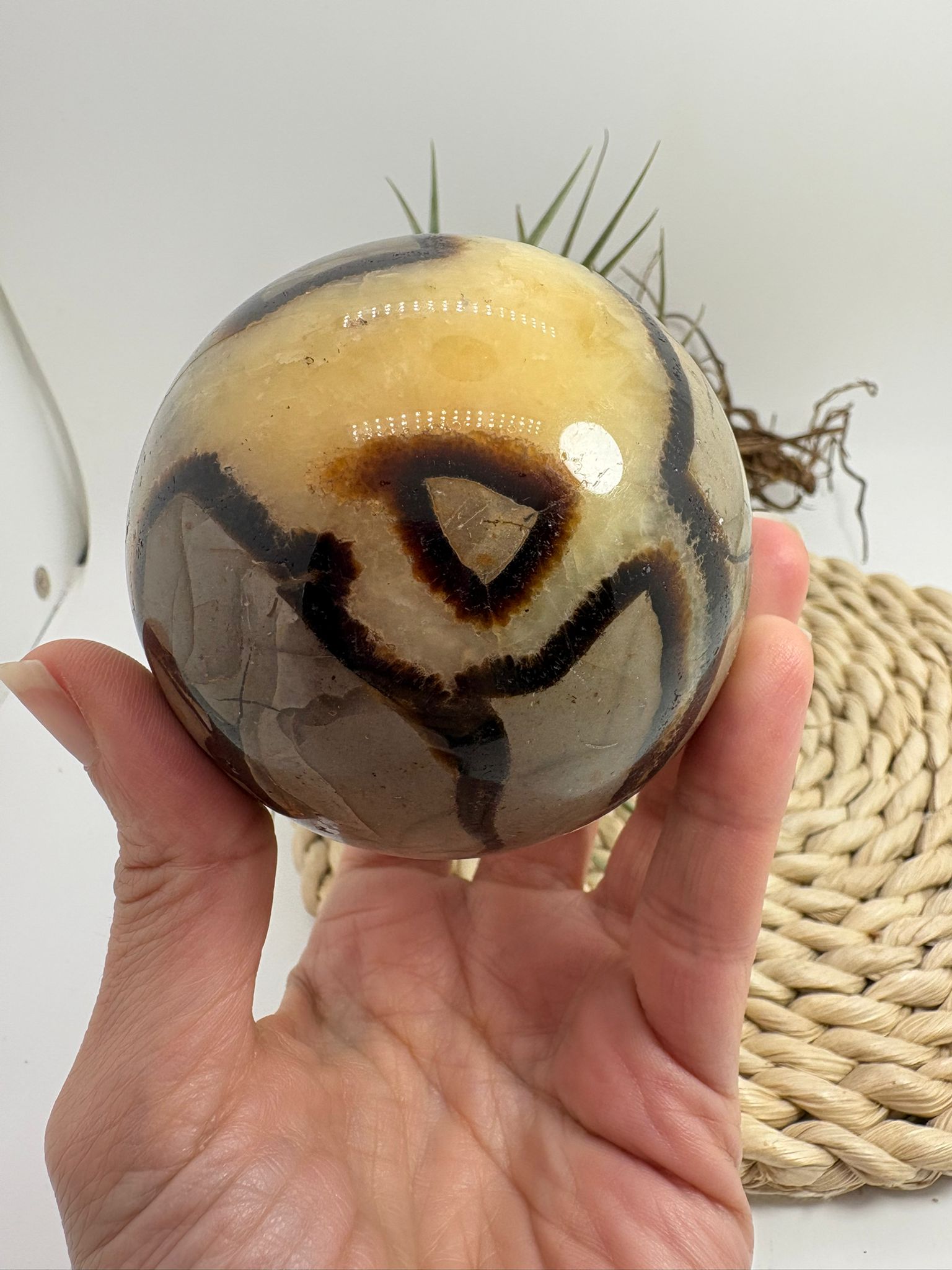 Esfera de septaria natural con vetas únicas. Pieza que aporta estabilidad, conexión con la tierra y equilibrio interior. Ideal para decoración y colección.