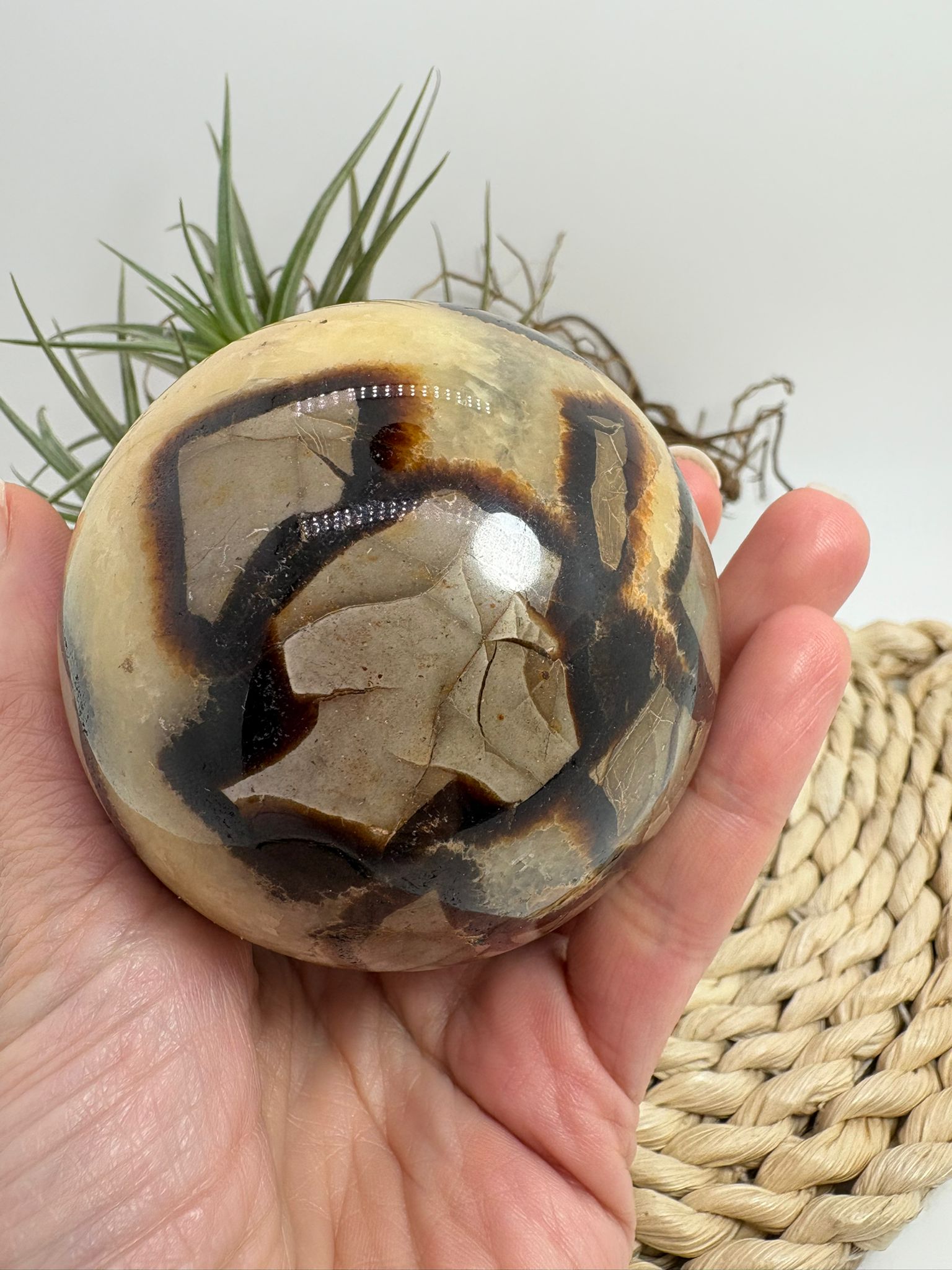 Esfera de septaria natural con vetas únicas. Pieza que aporta estabilidad, conexión con la tierra y equilibrio interior. Ideal para decoración y colección.
