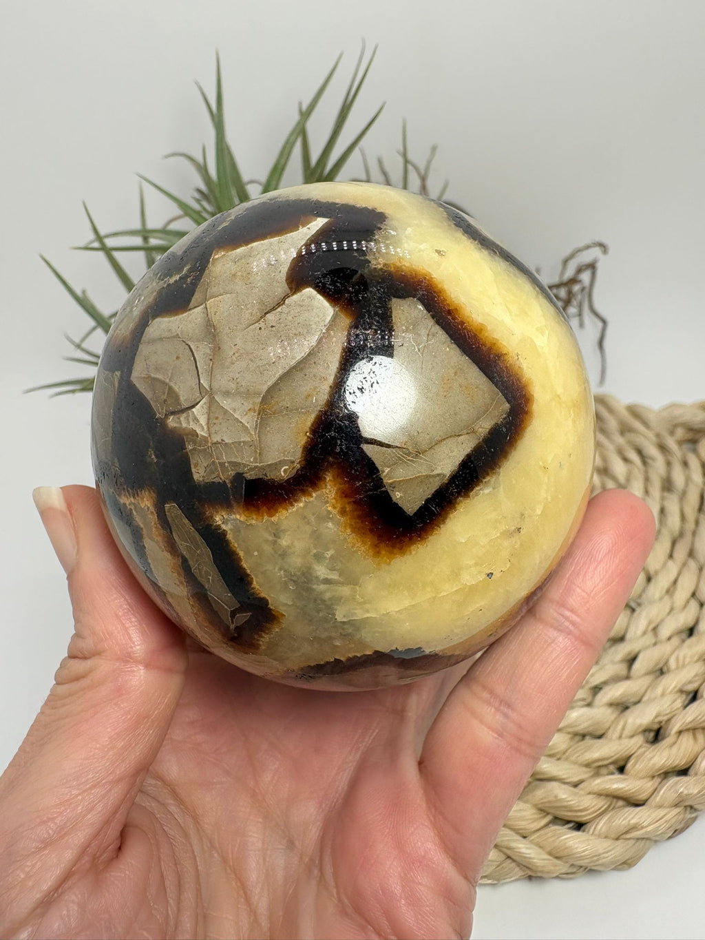 Esfera de septaria natural con vetas únicas. Pieza que aporta estabilidad, conexión con la tierra y equilibrio interior. Ideal para decoración y colección.