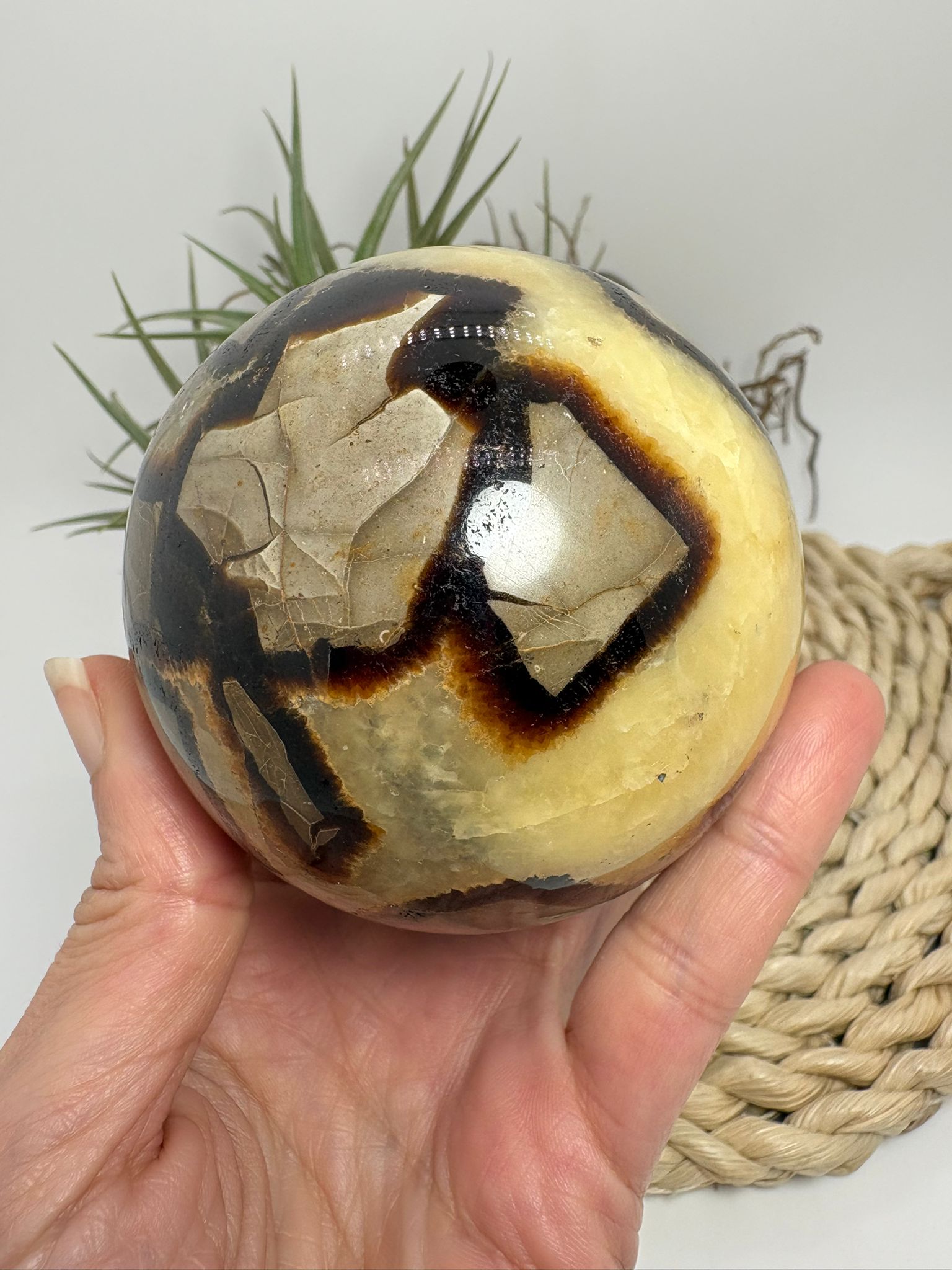 Esfera de septaria natural con vetas únicas. Pieza que aporta estabilidad, conexión con la tierra y equilibrio interior. Ideal para decoración y colección.