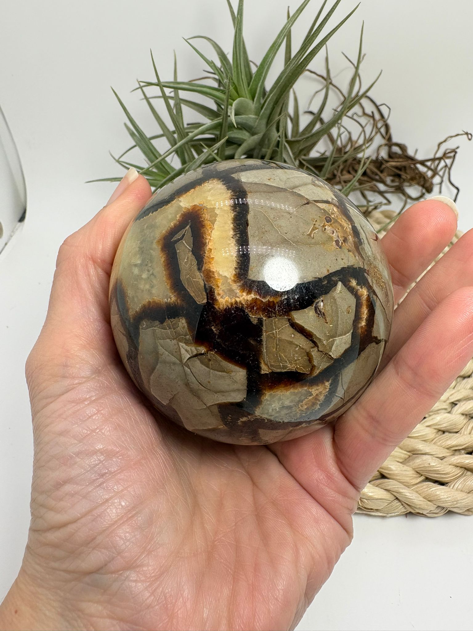 Esfera de septaria natural con vetas únicas. Pieza que aporta estabilidad, conexión con la tierra y equilibrio interior. Ideal para decoración y colección.