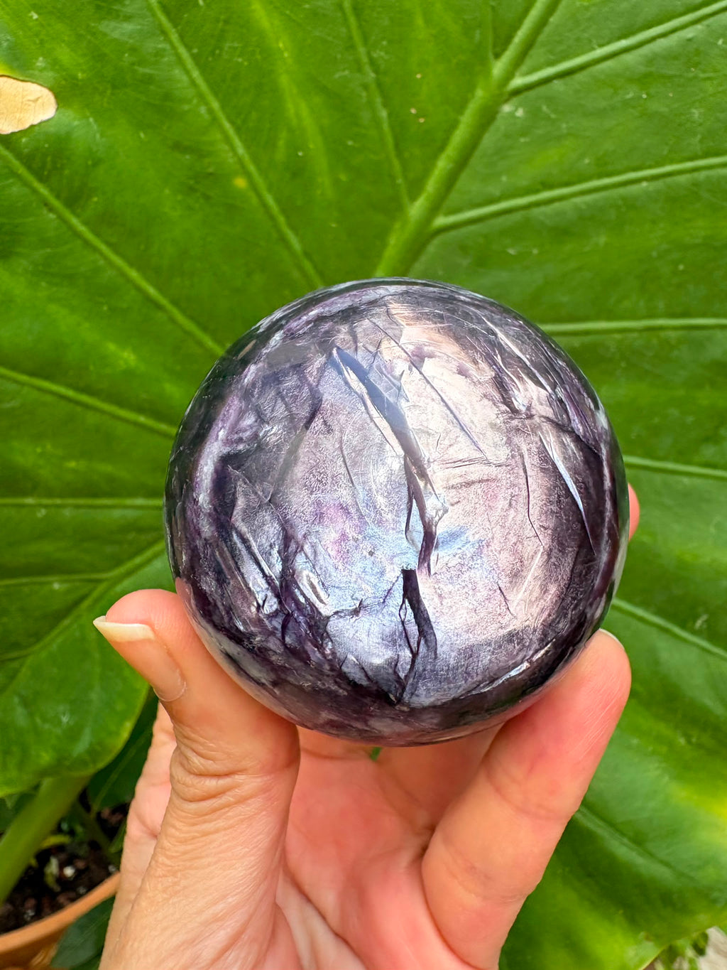 Mica lepidolita con litio natural, de intensos tonos violetas y reflejos plateados. Una pieza espiritual asociada a la calma y la transformación.