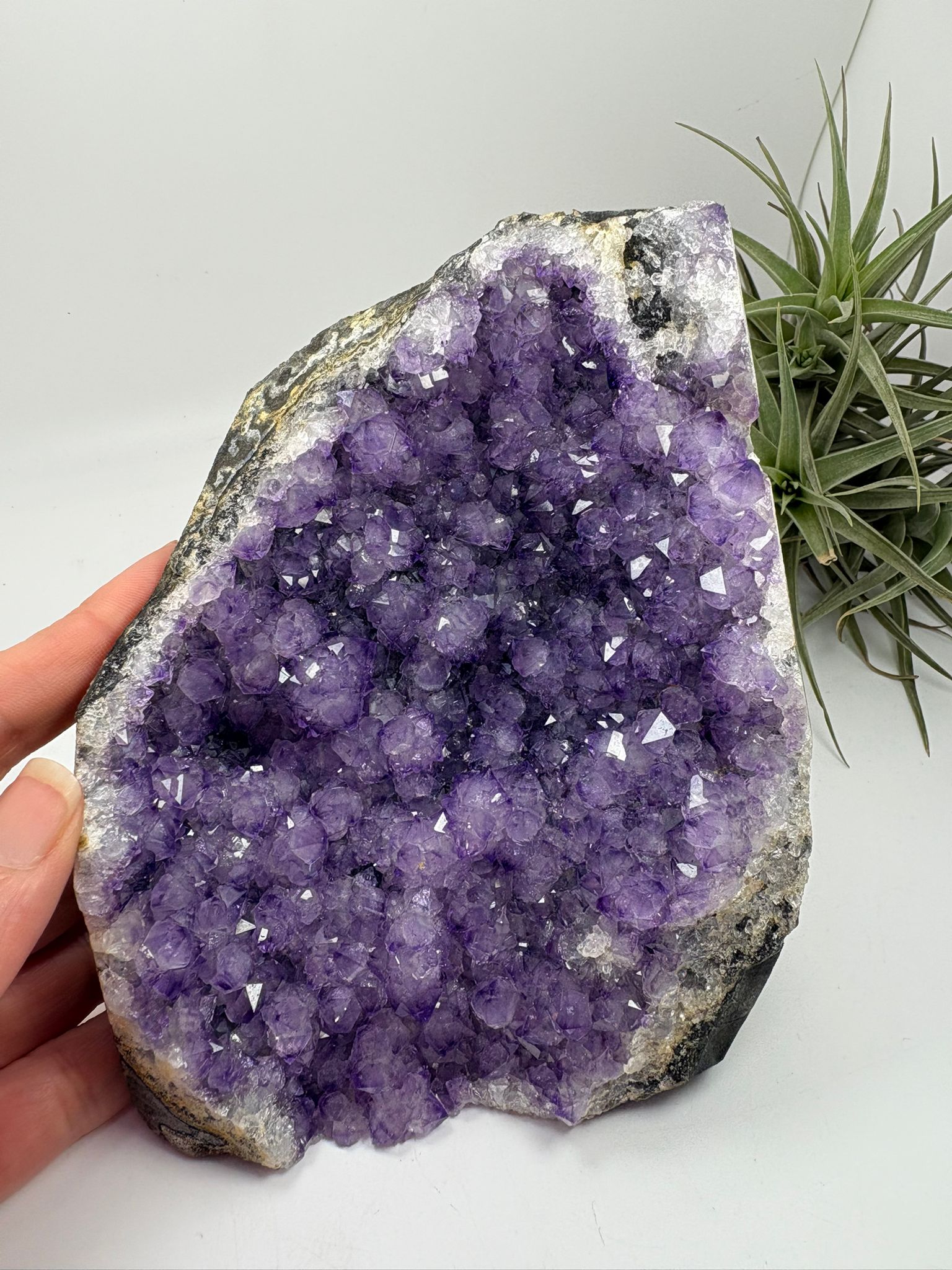 Geoda de amatista natural violeta intensa de 13,2 cm. Pieza única con cristales brillantes ideal para decoración y colección.