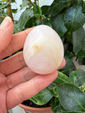 Pequeño huevo de manganocalcita pulida, de un delicado tono rosa pálido con vetas blancas y crema. Su superficie suave y sus dibujos naturales le dan un aspecto dulce y especial, ideal para regalar o añadir a tu colección de minerales.