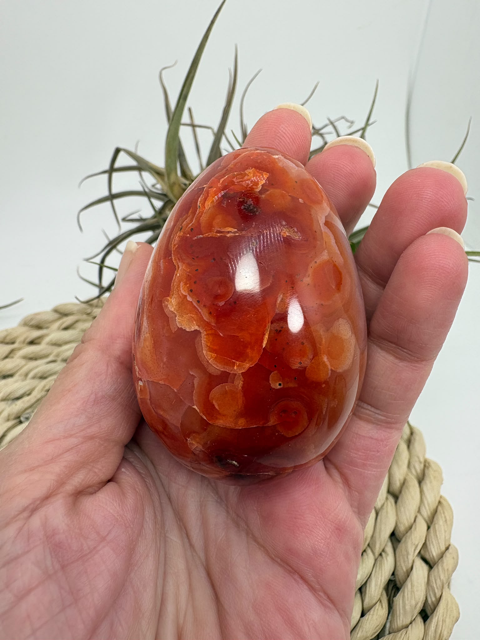 ágata cornalina, huevo de ágata, huevo de cornalina, cornalina natural, mineral naranja, piedra natural, minerales pulidos, decoración con minerales, chakra sacro, piedra de vitalidad, regalo espiritual, La Hada de las Piedras