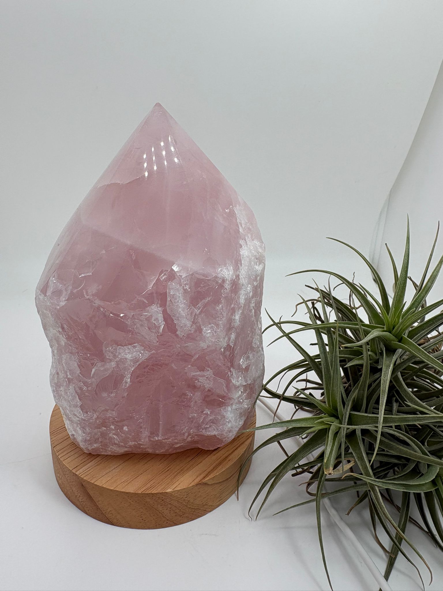 Lámpara de cuarzo rosa natural de alta calidad, una pieza única que combina la belleza del mineral con una iluminación suave y envolvente gracias a su base LED de madera con conexión USB.

Este cuarzo rosa ha sido trabajado en forma semi pulida, manteniendo parte de su estado natural en la base y con la punta pulida en forma de generador. Esta terminación permite dirigir y amplificar la energía, potenciando sus propiedades y creando un ambiente armónico en el espacio.

El cuarzo rosa es conocido como la pie