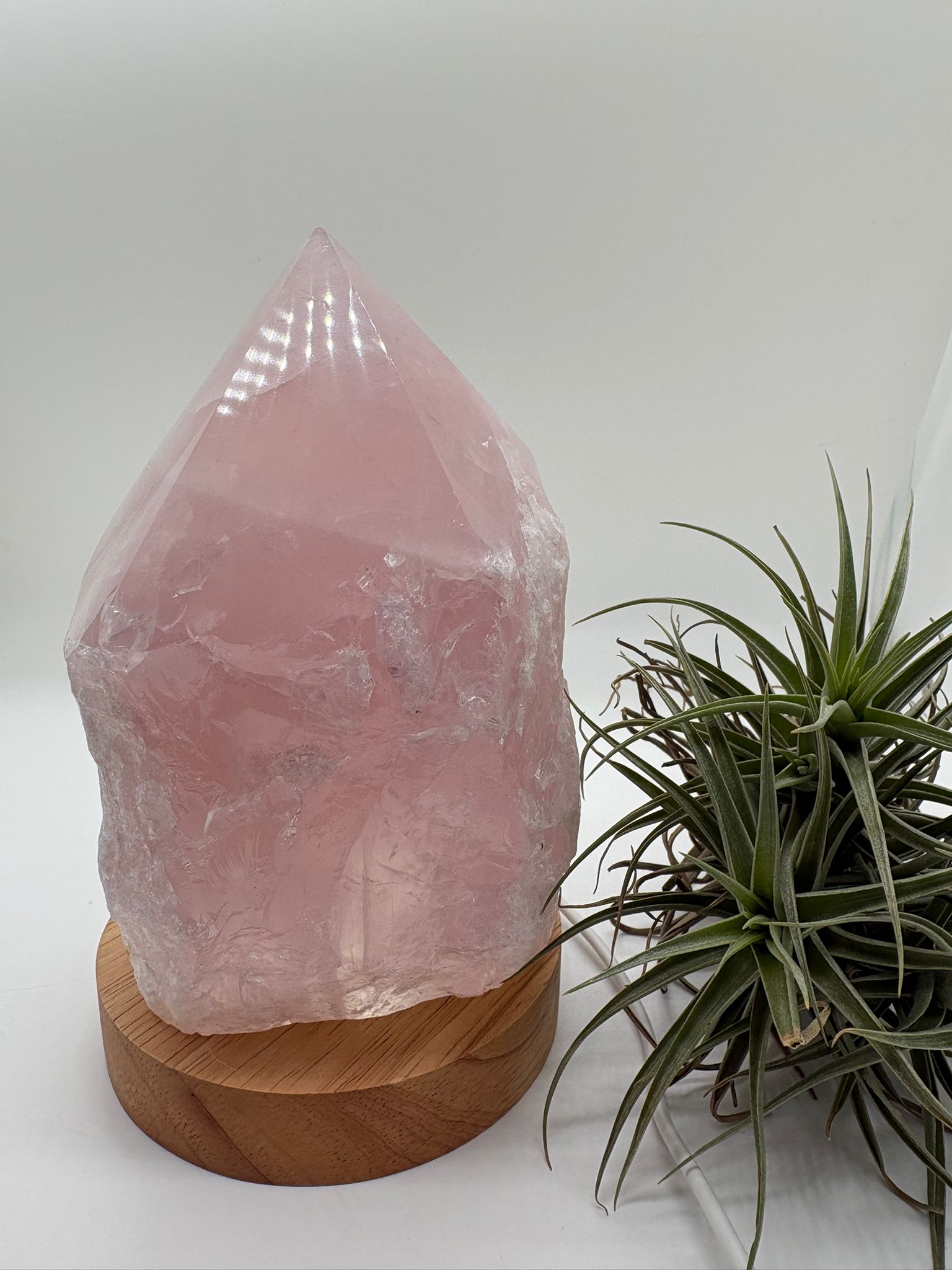 Lámpara de cuarzo rosa natural de alta calidad, una pieza única que combina la belleza del mineral con una iluminación suave y envolvente gracias a su base LED de madera con conexión USB.

Este cuarzo rosa ha sido trabajado en forma semi pulida, manteniendo parte de su estado natural en la base y con la punta pulida en forma de generador. Esta terminación permite dirigir y amplificar la energía, potenciando sus propiedades y creando un ambiente armónico en el espacio.

El cuarzo rosa es conocido como la pie