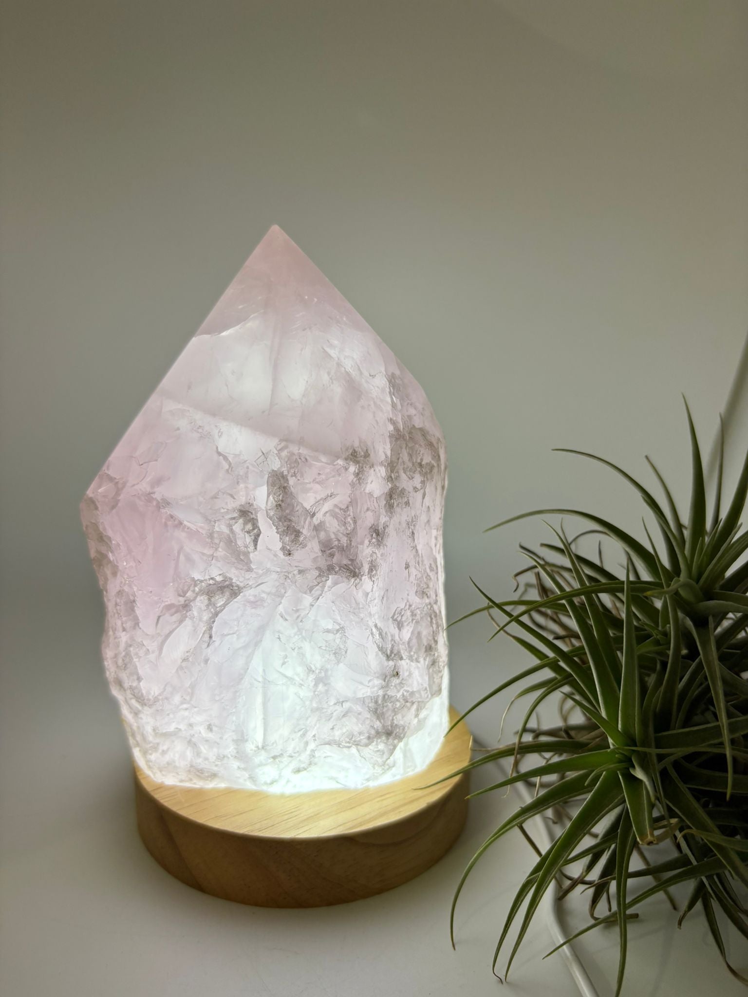 Lámpara de cuarzo rosa natural de alta calidad, una pieza única que combina la belleza del mineral con una iluminación suave y envolvente gracias a su base LED de madera con conexión USB.

Este cuarzo rosa ha sido trabajado en forma semi pulida, manteniendo parte de su estado natural en la base y con la punta pulida en forma de generador. Esta terminación permite dirigir y amplificar la energía, potenciando sus propiedades y creando un ambiente armónico en el espacio.

El cuarzo rosa es conocido como la pie