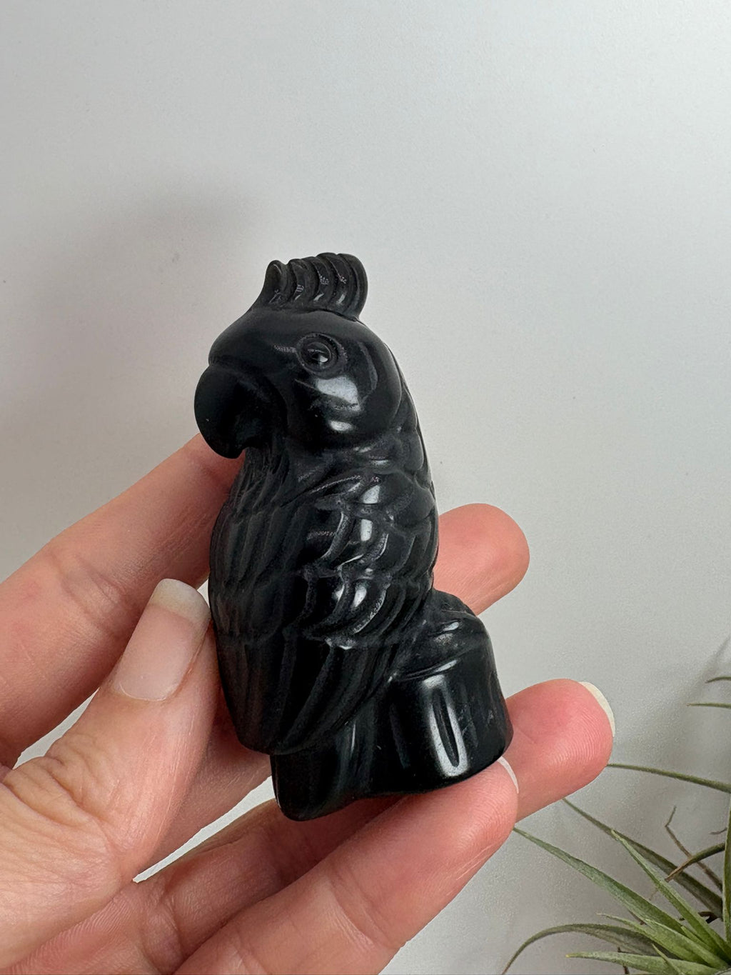 Loro tallado a mano en obsidiana negra, una figura decorativa con gran energía protectora. Ideal para hogar, altar o colección.