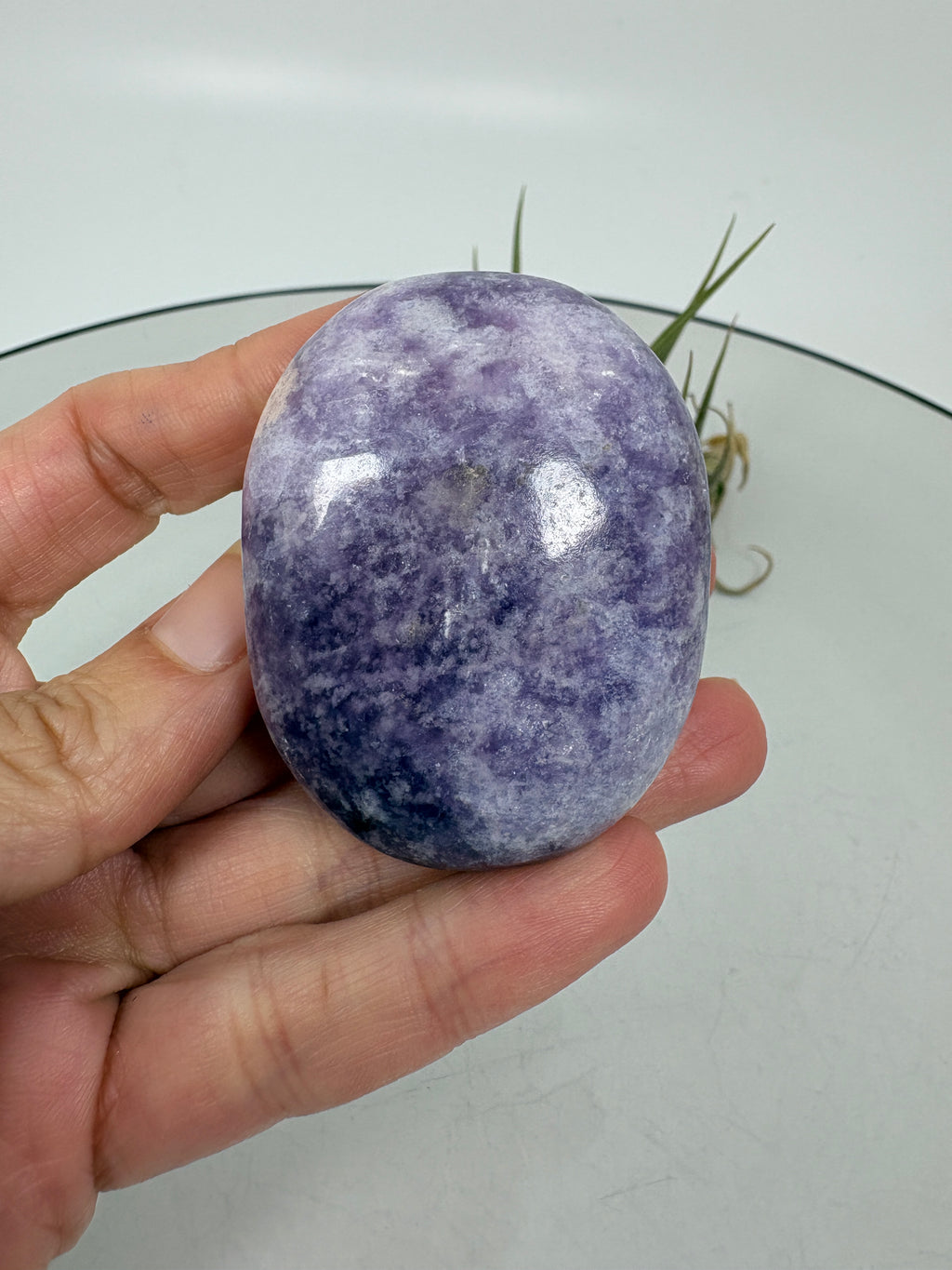 Palmstone ovalado de lepidolita pulida con tonos violetas y zonas claras. Para la calma y la espiritualidad. 