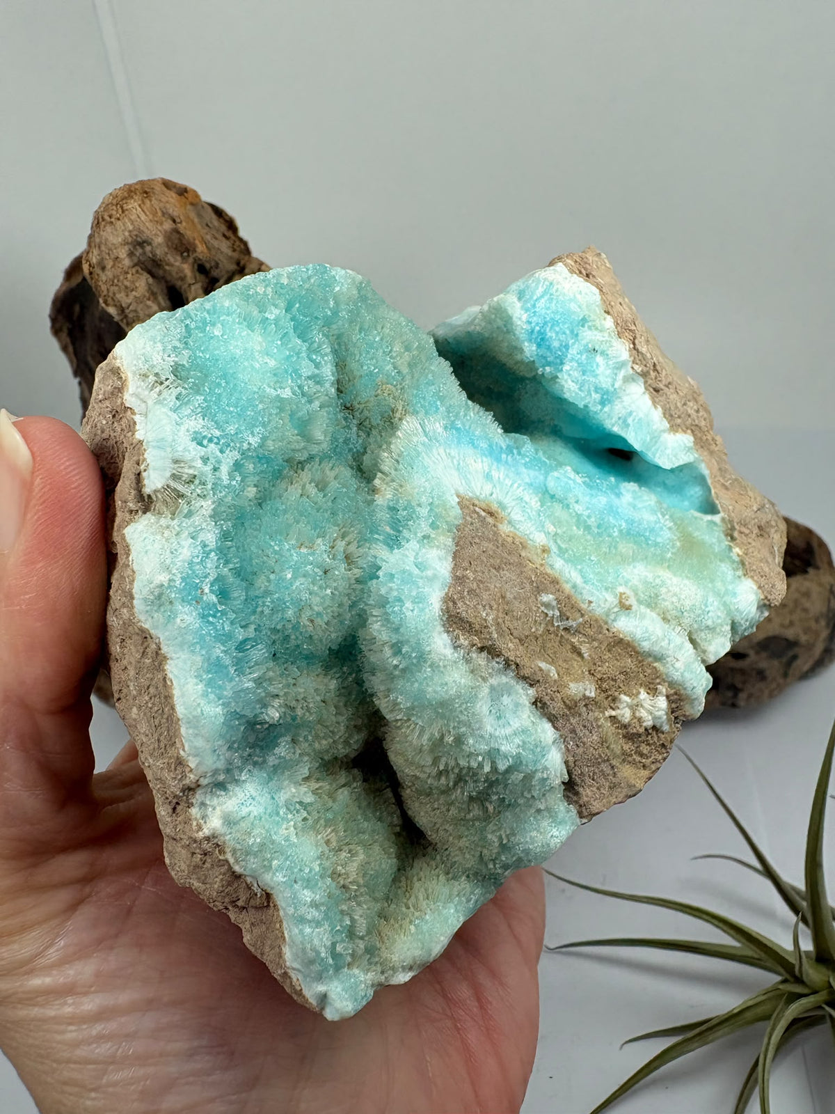 Aragonito azul de Pakistán con tonos turquesa y bellas formaciones sobre matriz. Descubre esta pieza única en La Hada de las Piedras.