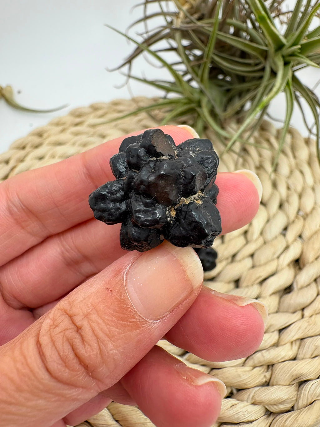 Piedra de la Profecía natural procedente del desierto de Egipto. Singular pseudomorfosis mineral de unos 2,3 × 2,4 cm. Se vende por unidad.