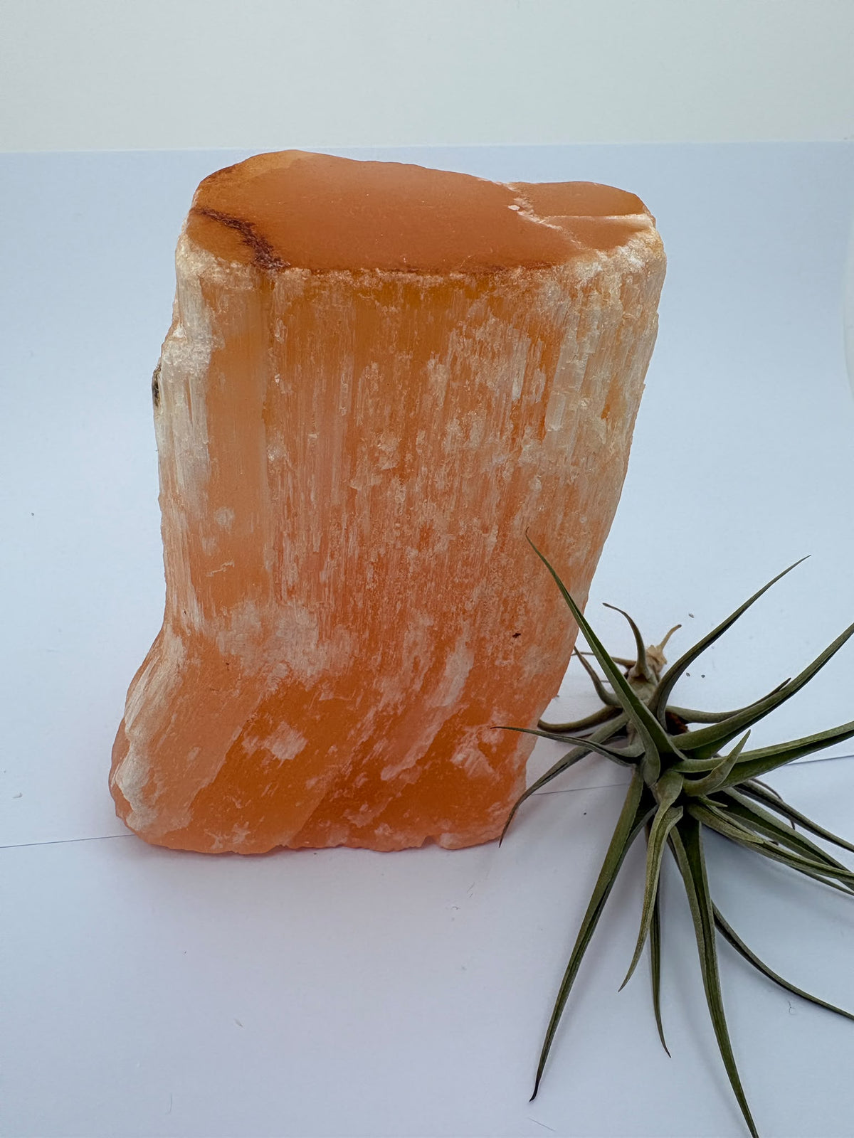Descubre esta selenita naranja natural en bruto, de tono melocotón y brillo sedoso. Recibirás la pieza fotografiada en La Hada de las Piedras.