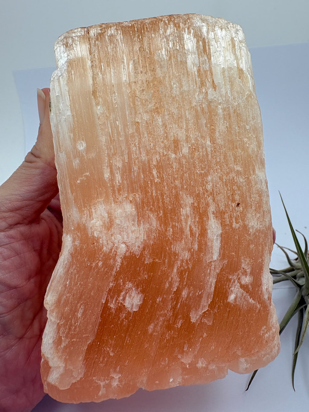 Descubre esta selenita naranja natural en bruto, de tono melocotón y brillo sedoso. Recibirás la pieza fotografiada en La Hada de las Piedras.