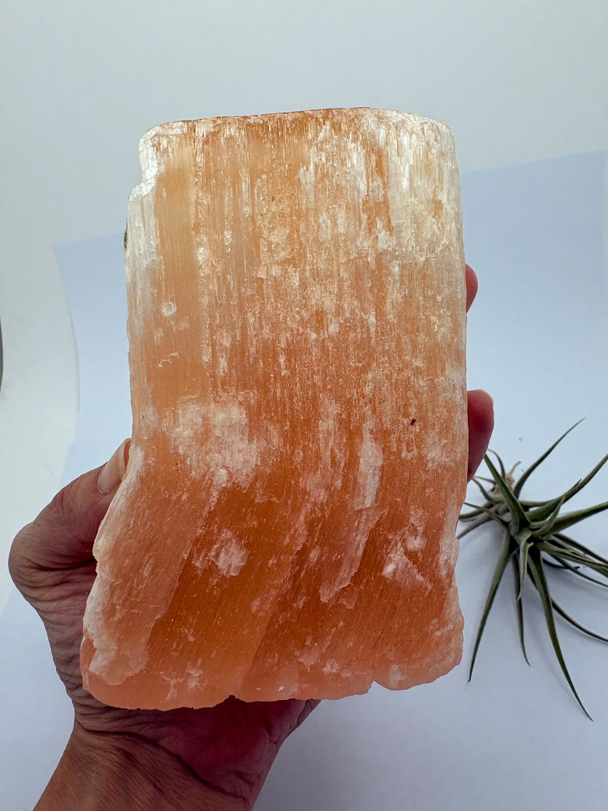 Descubre esta selenita naranja natural en bruto, de tono melocotón y brillo sedoso. Recibirás la pieza fotografiada en La Hada de las Piedras.