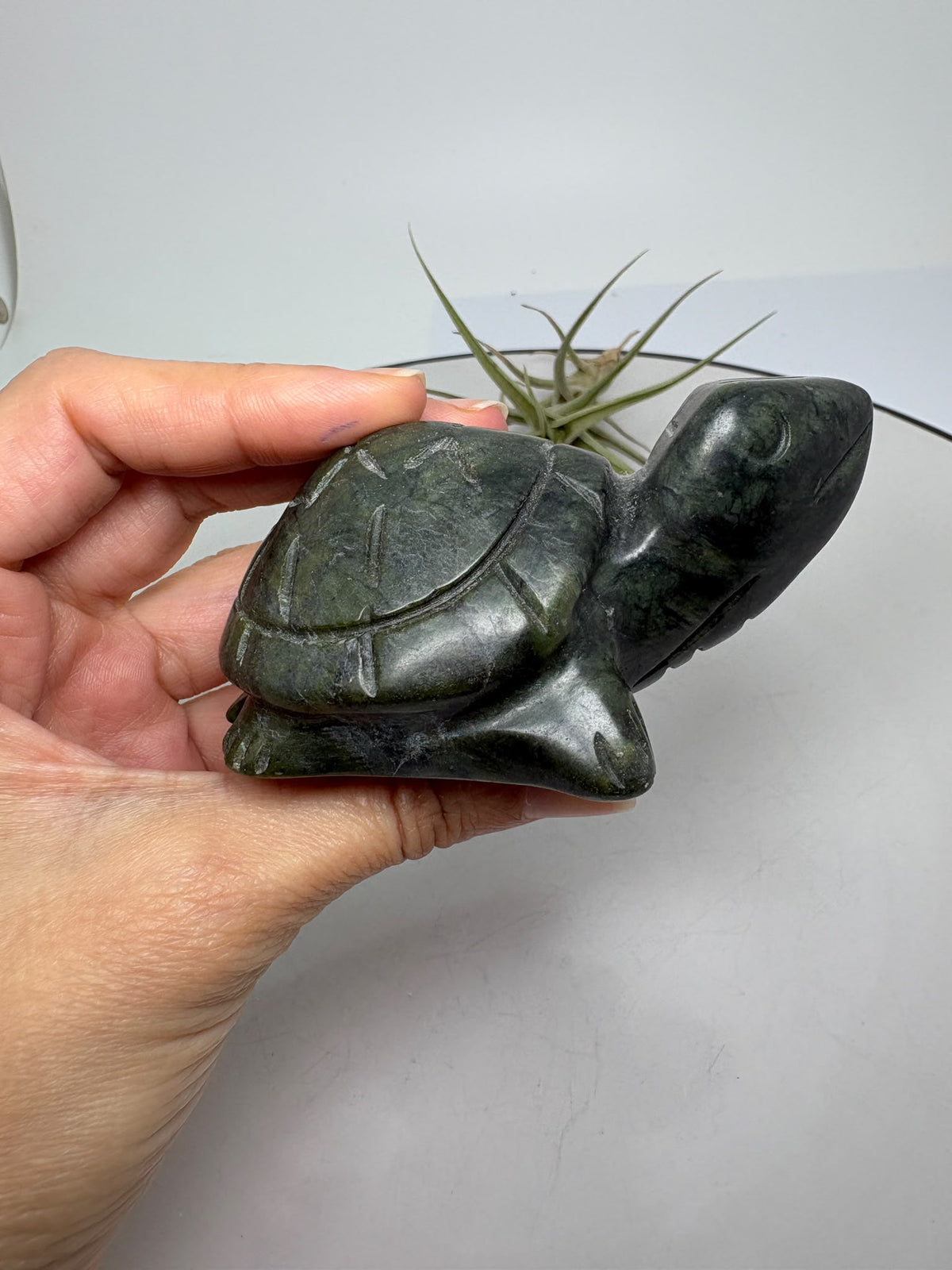 Descubre nuestras tortugas talladas en jade nefrita, con preciosos tonos verdes y detalles únicos. Elige tu favorita en La Hada de las Piedras.