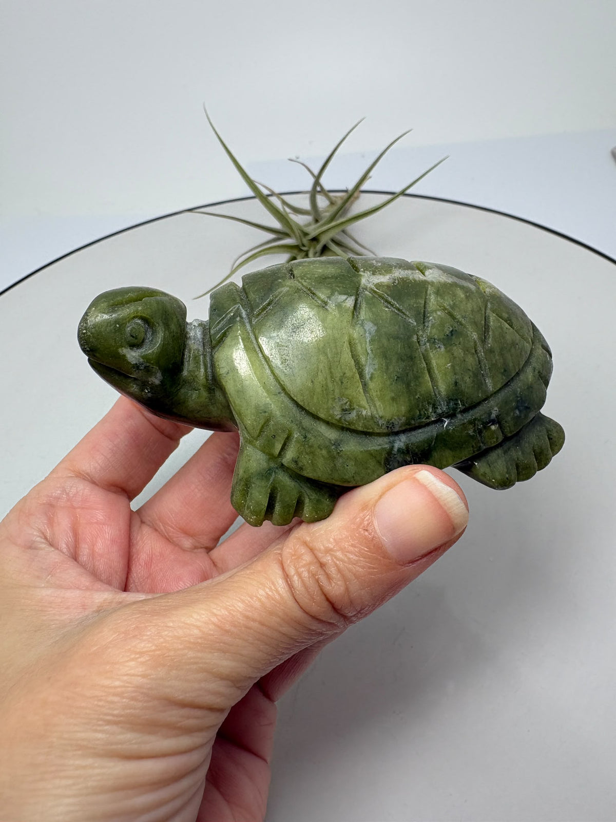 Descubre nuestras tortugas talladas en jade nefrita, con preciosos tonos verdes y detalles únicos. Elige tu favorita en La Hada de las Piedras.