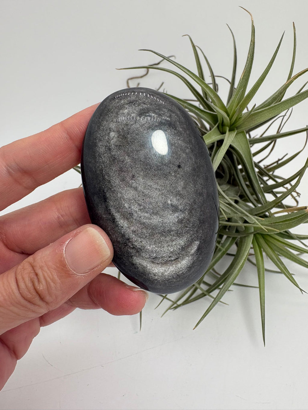 Palmstone obsidiana plateada