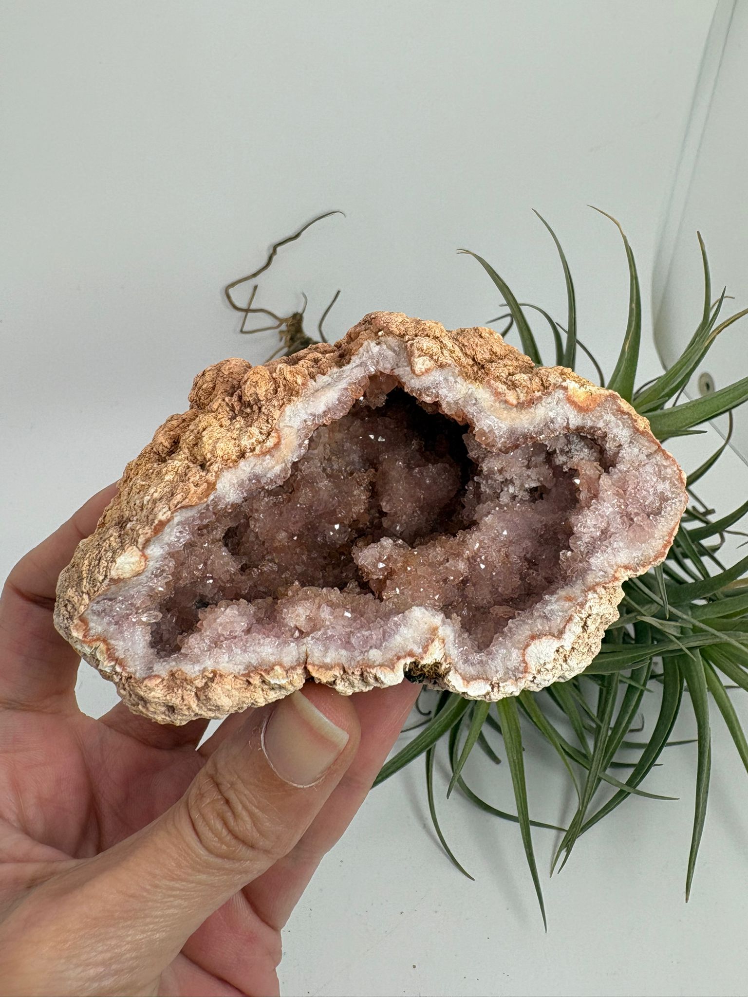 Geoda de amatista rosa de Argentina