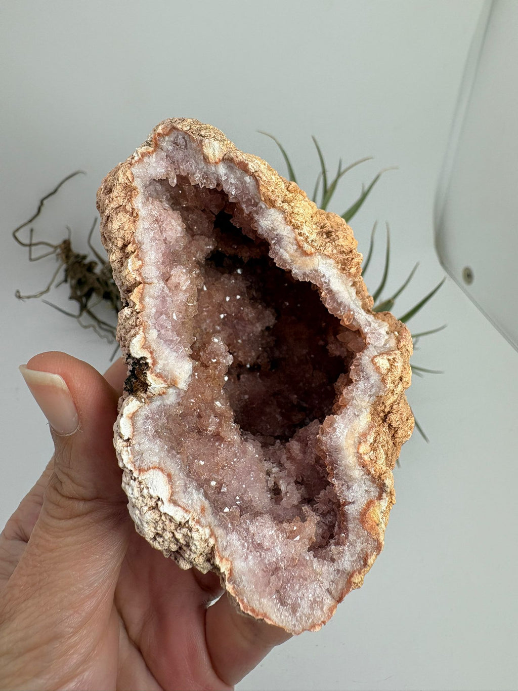 Geoda de amatista rosa de Argentina